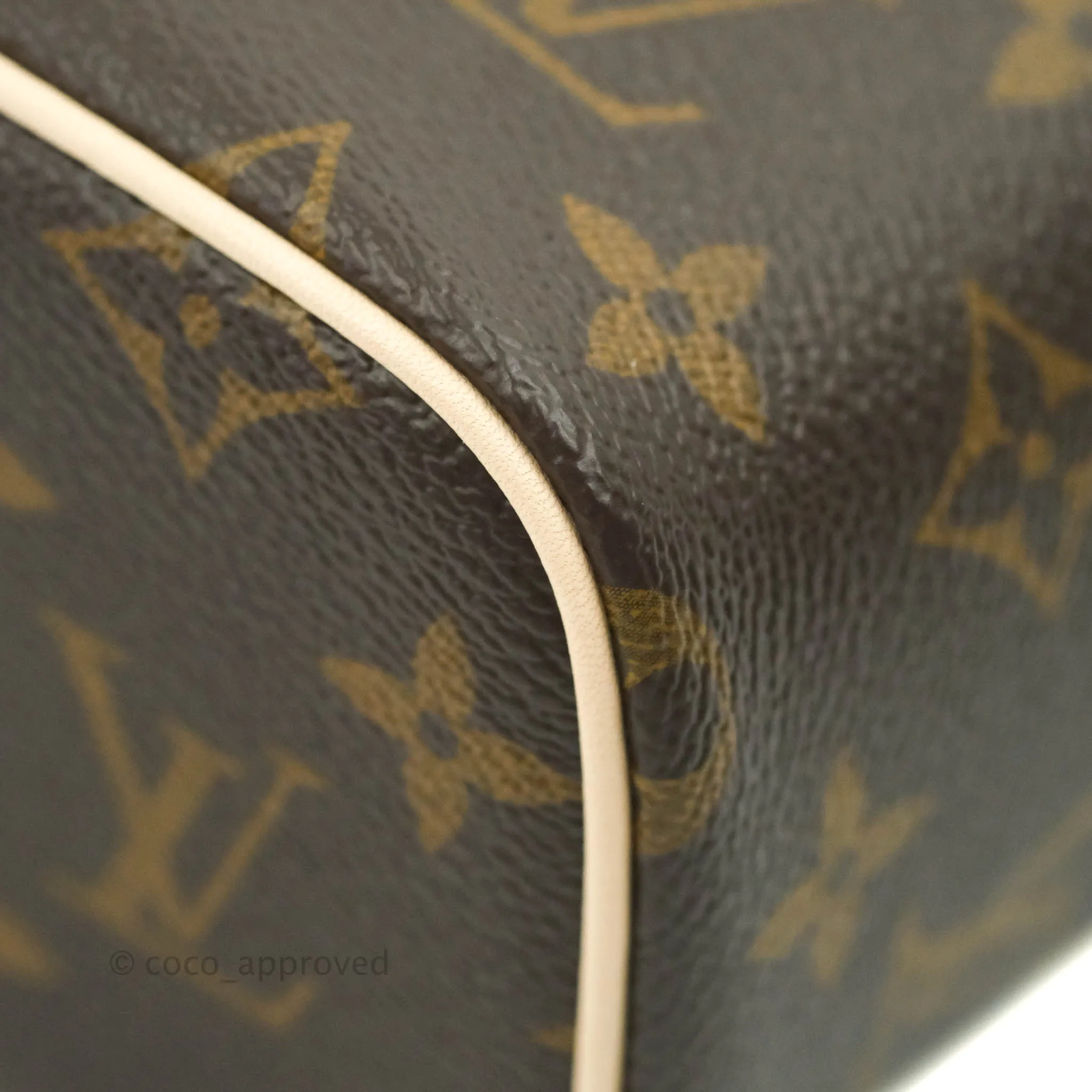 Louis Vuitton Monogram Nice Nano