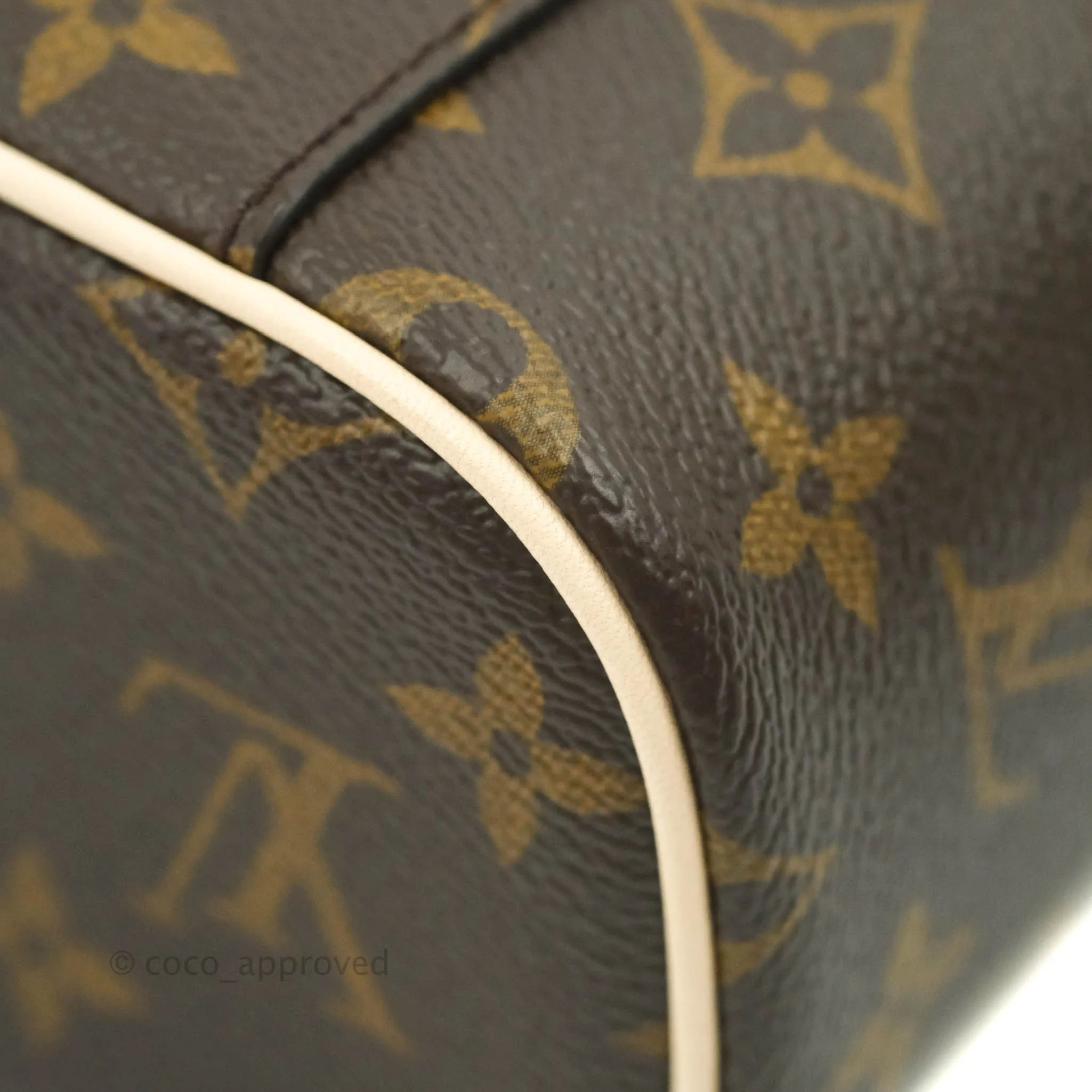 Louis Vuitton Monogram Nice Nano