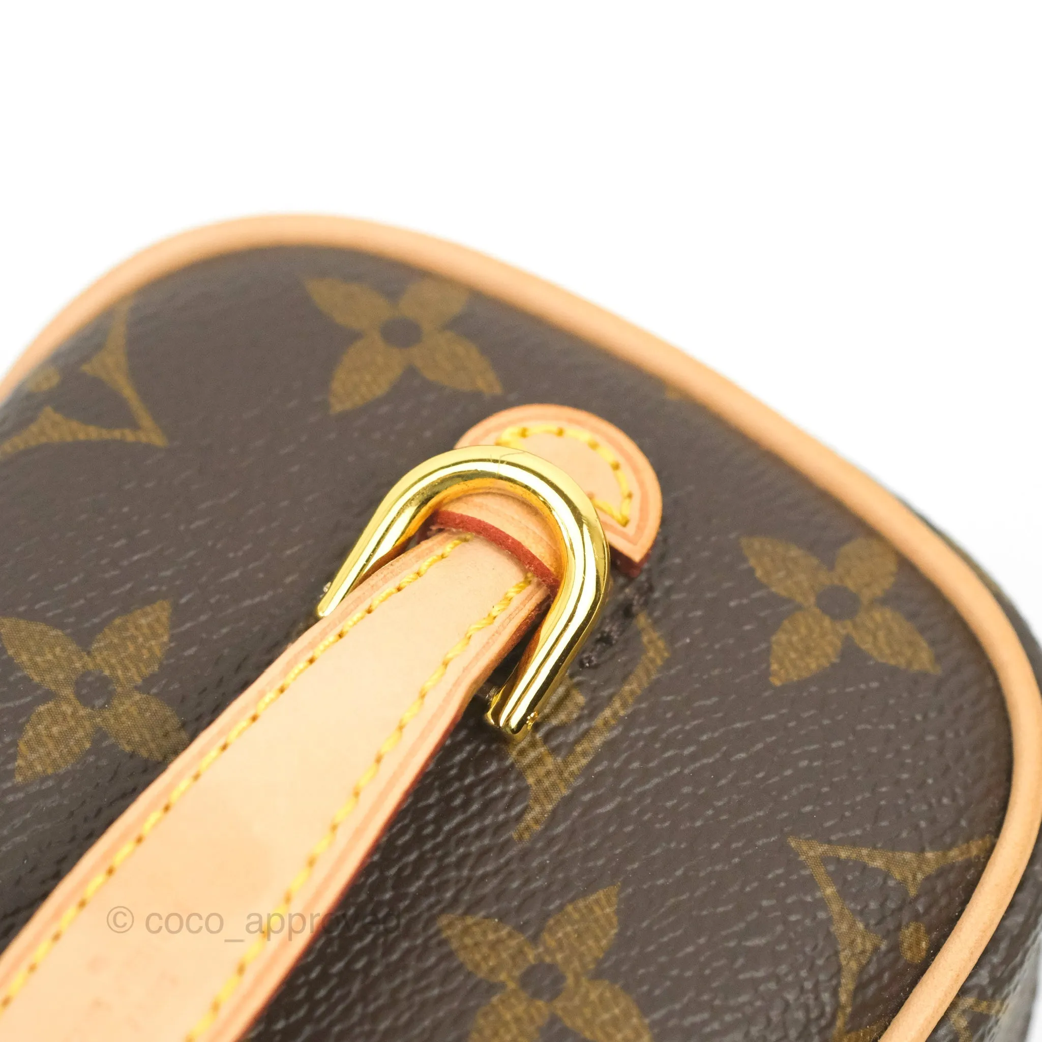 Louis Vuitton Monogram Nice Nano