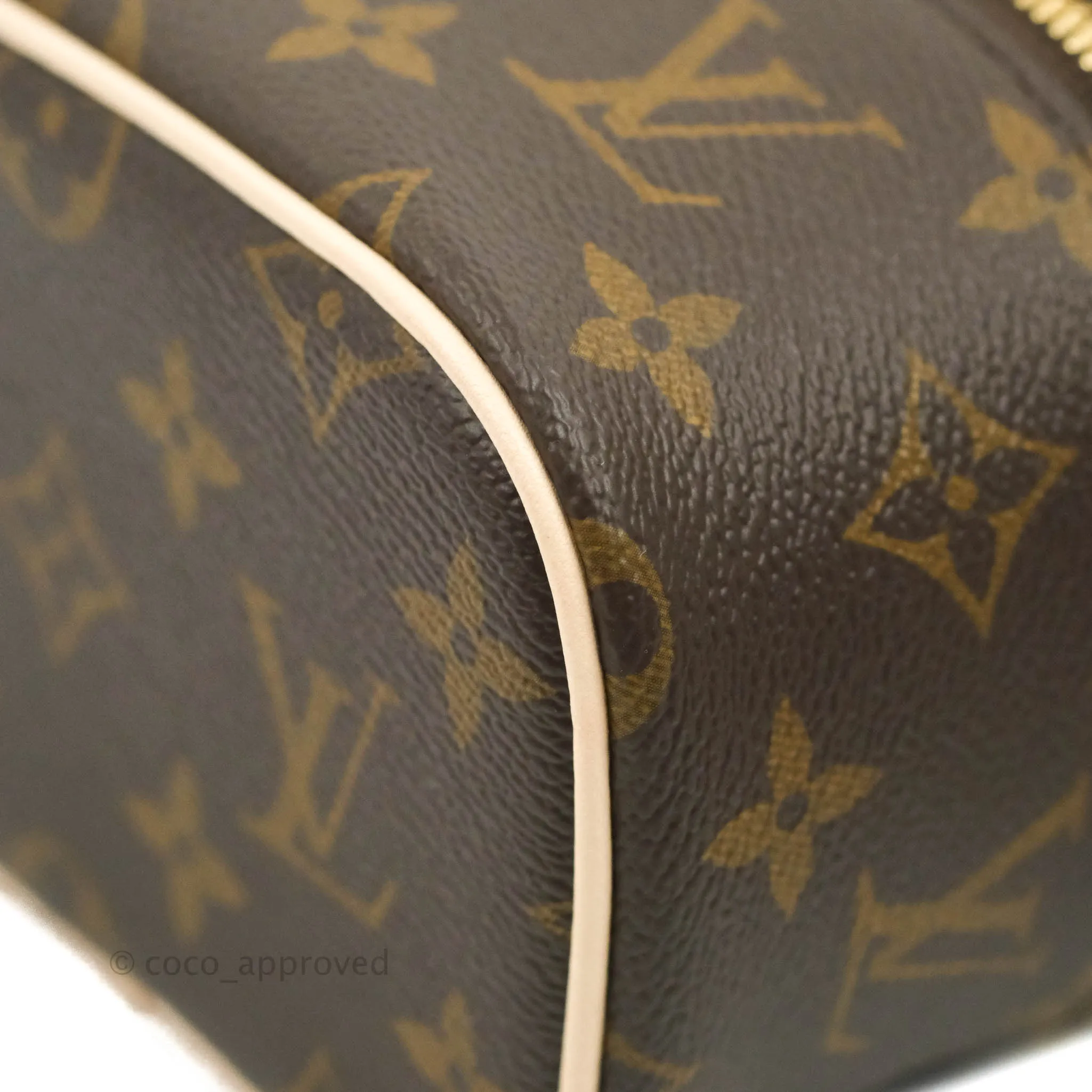 Louis Vuitton Monogram Nice Nano