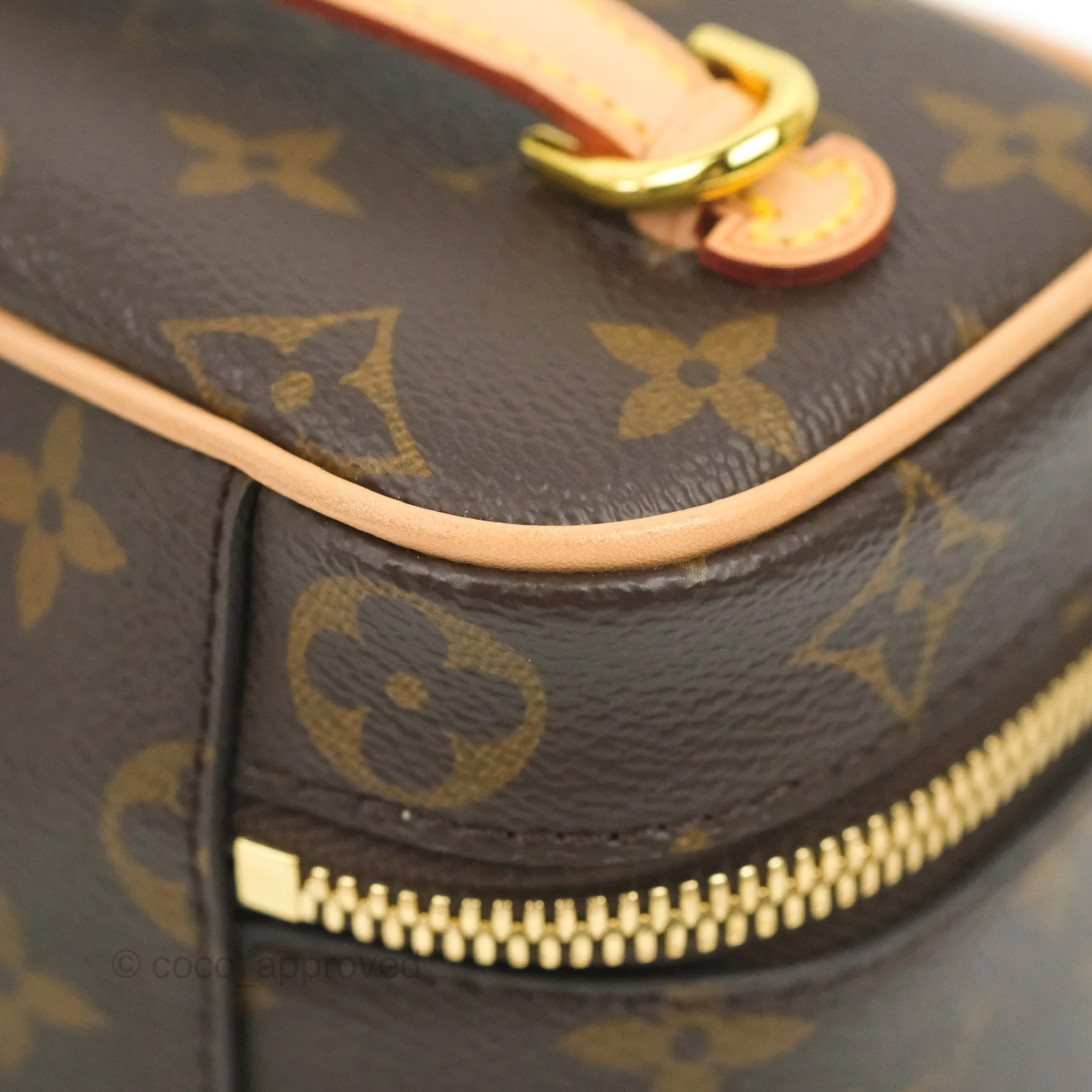 Louis Vuitton Monogram Nice Nano