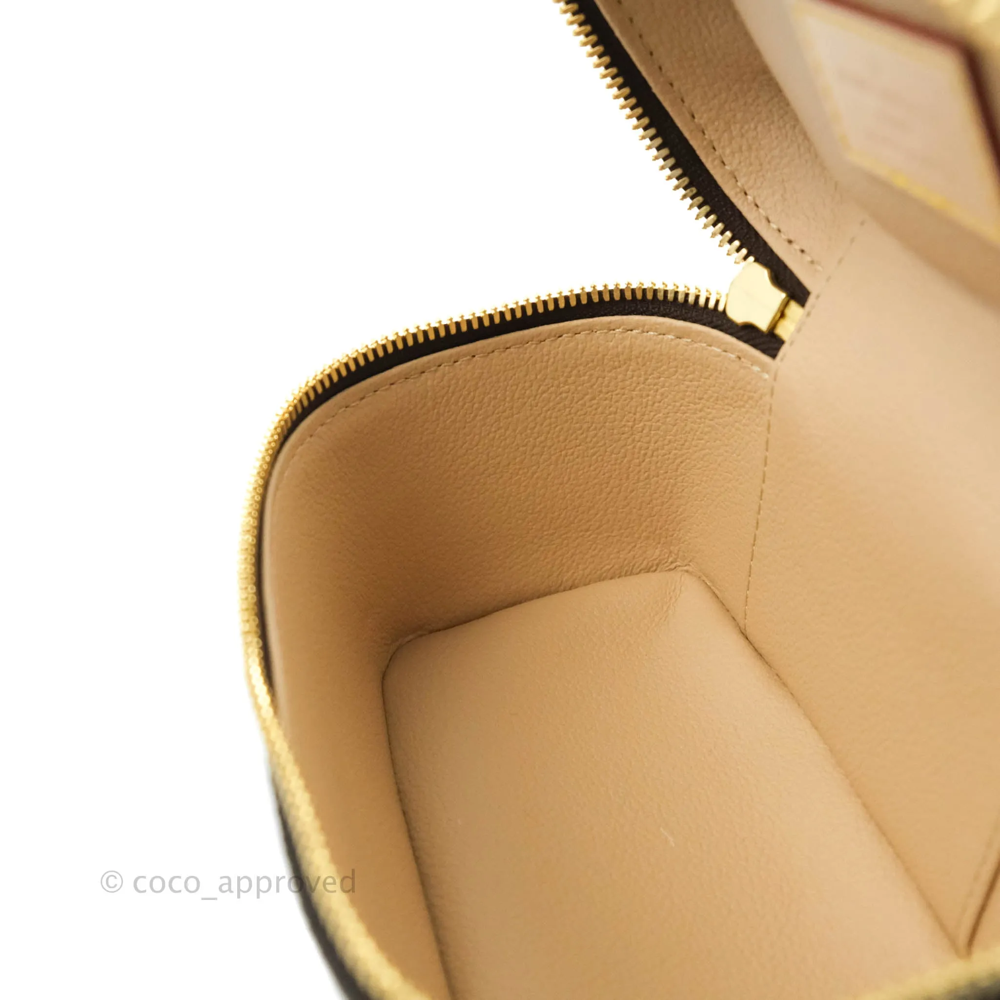 Louis Vuitton Monogram Nice Nano