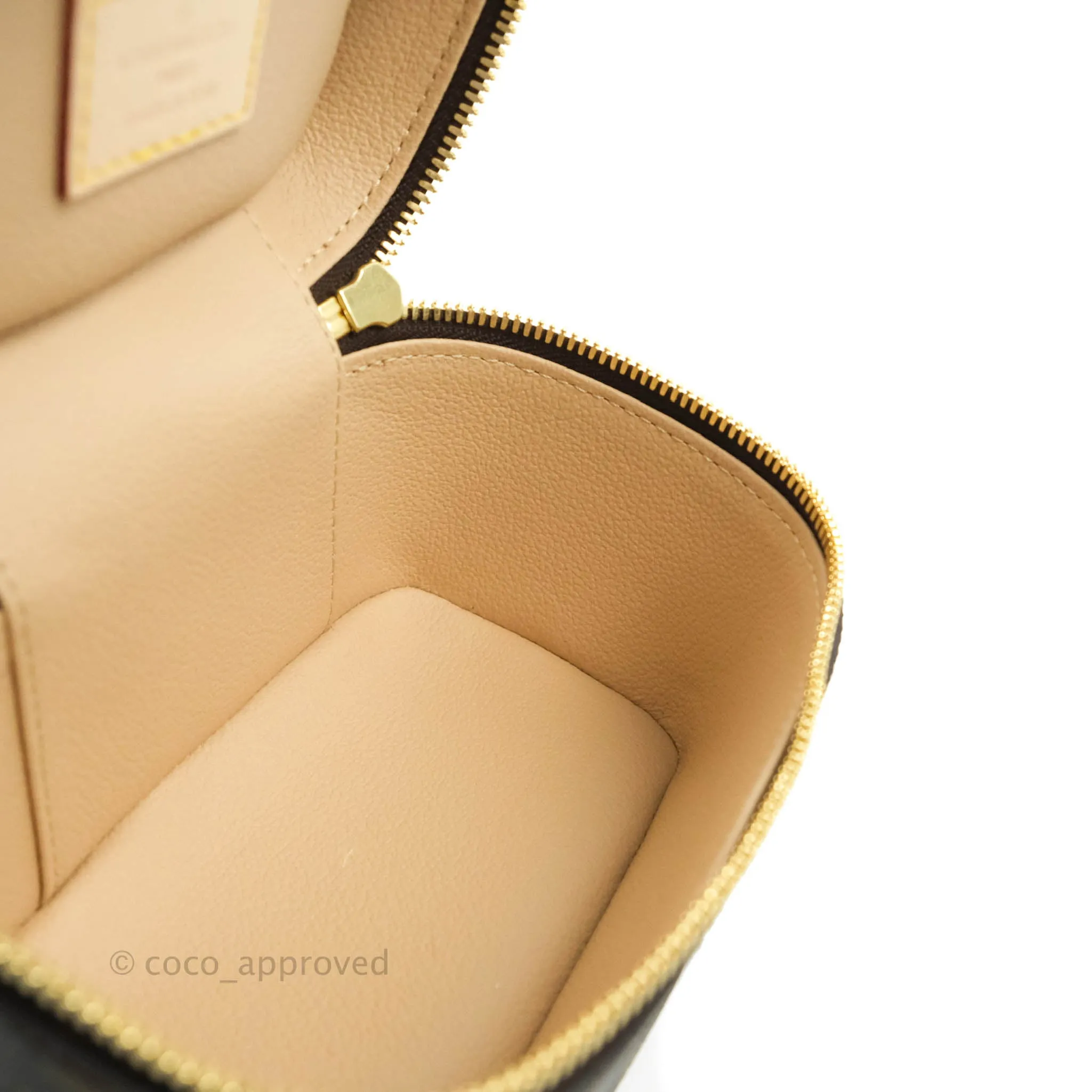 Louis Vuitton Monogram Nice Nano