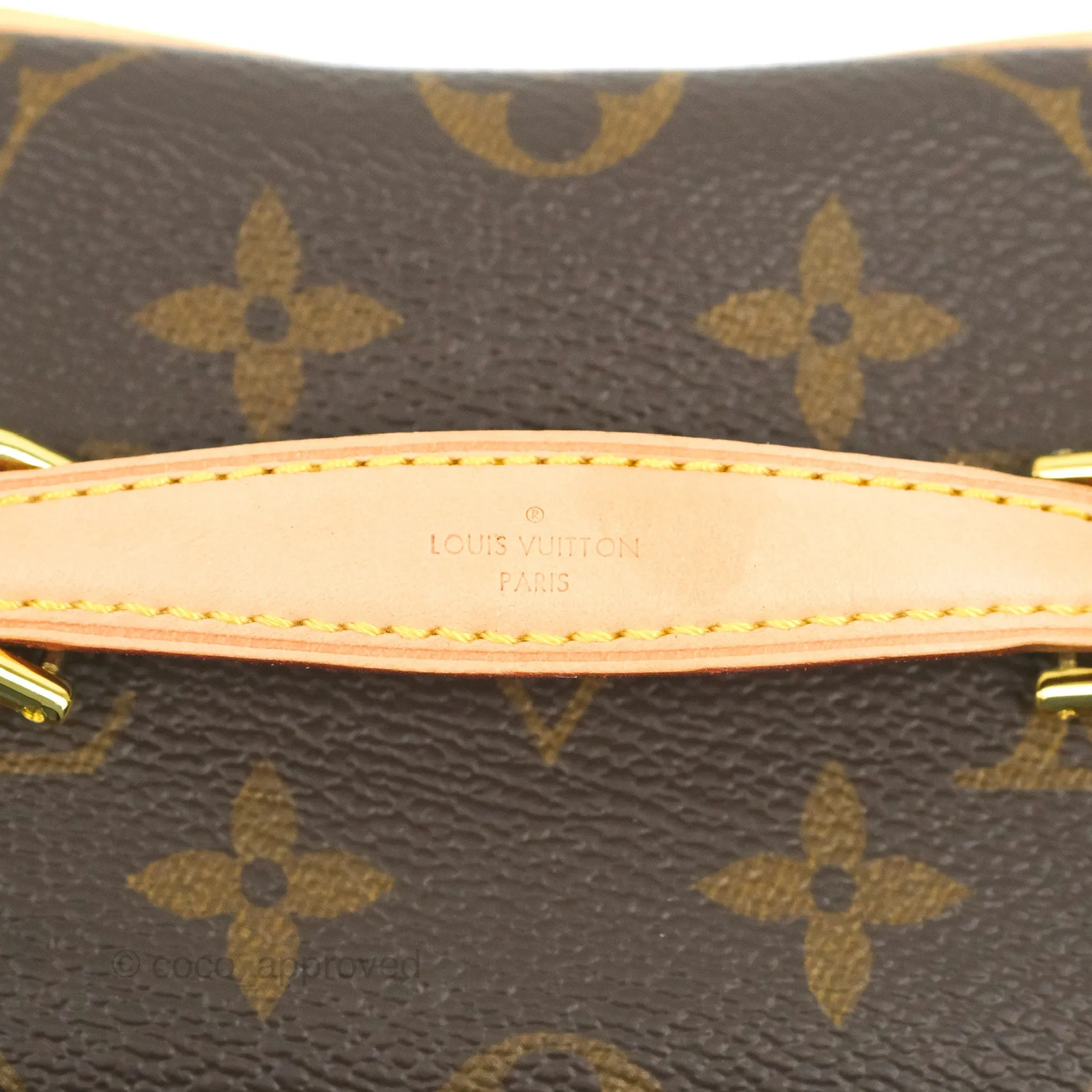 Louis Vuitton Monogram Nice Nano