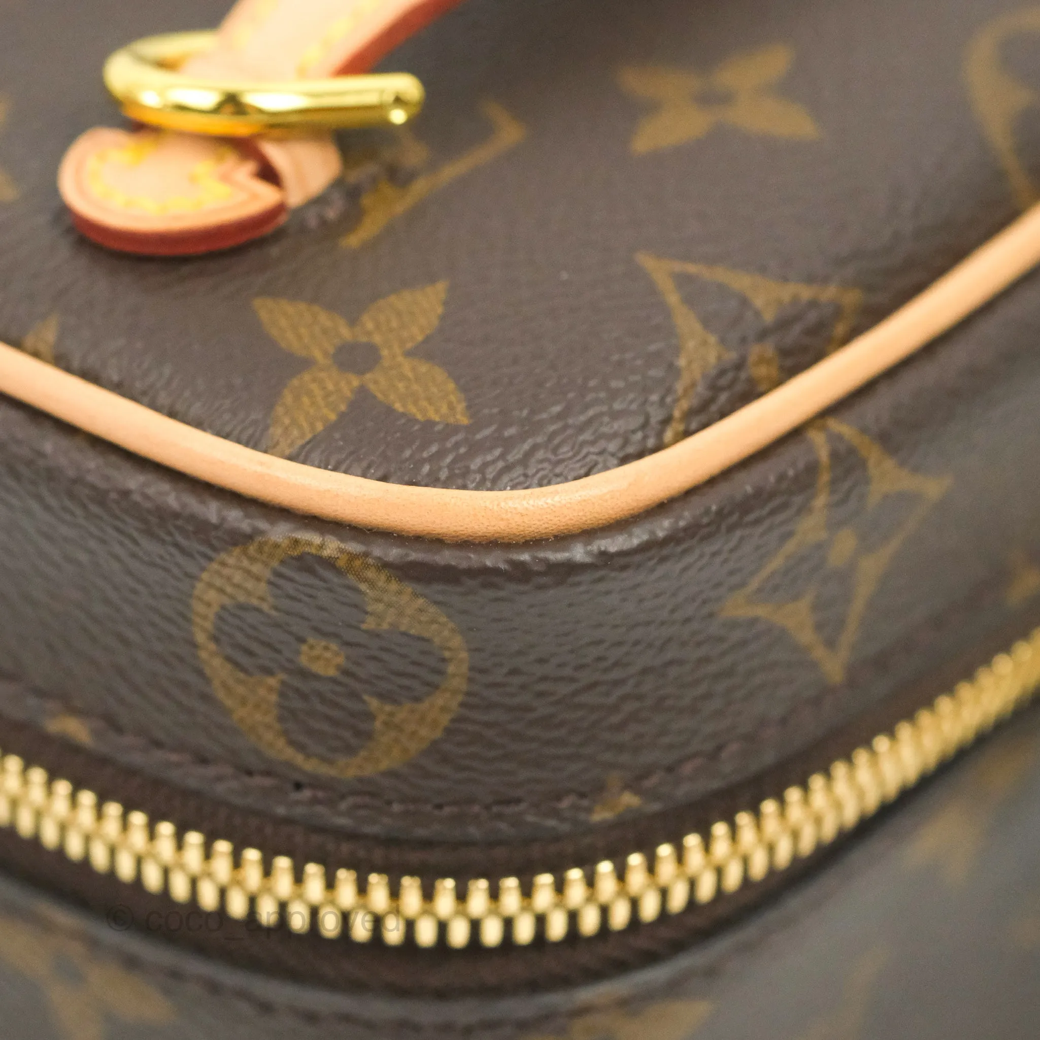 Louis Vuitton Monogram Nice Nano
