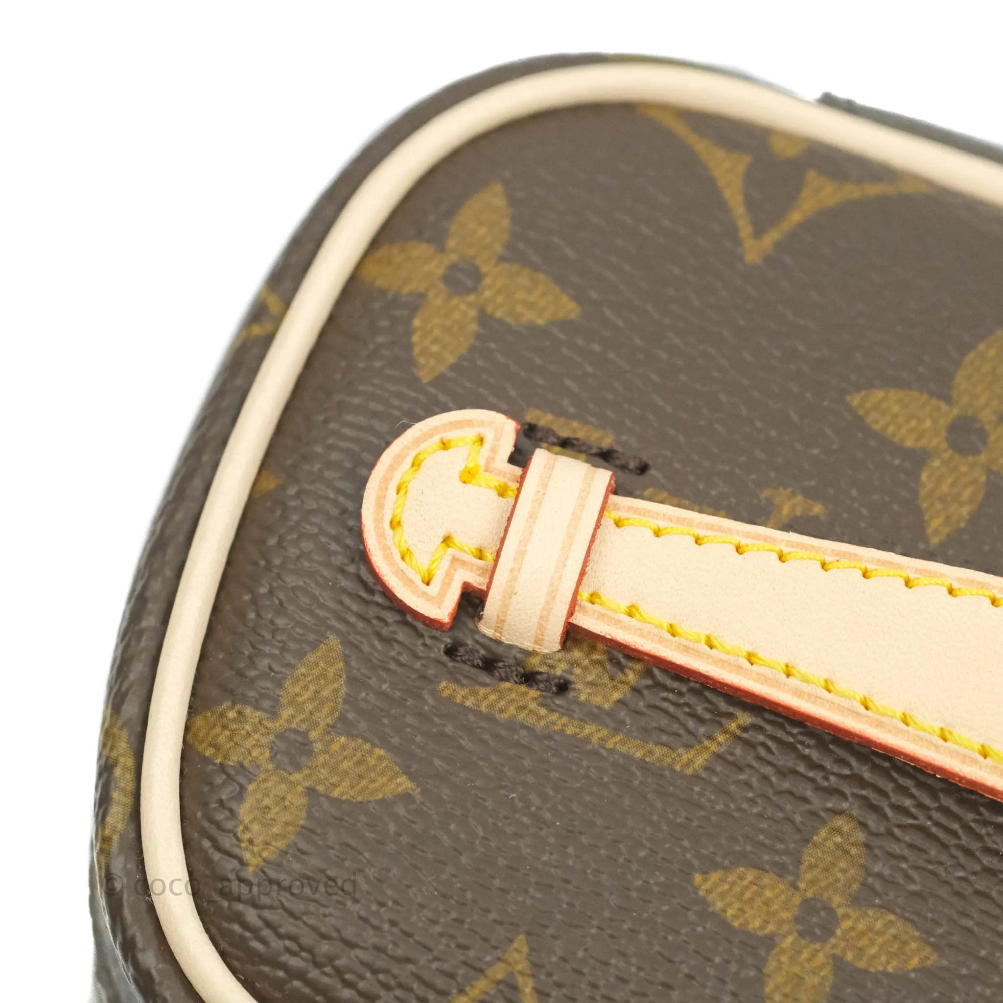 Louis Vuitton Monogram Nice Nano