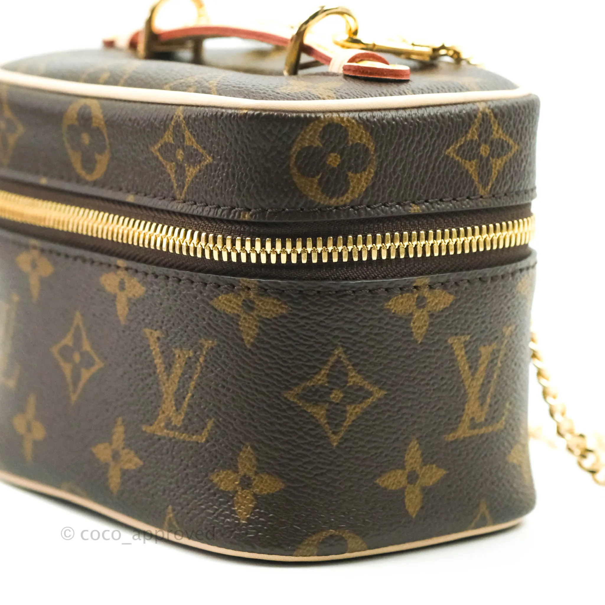 Louis Vuitton Monogram Nice Nano