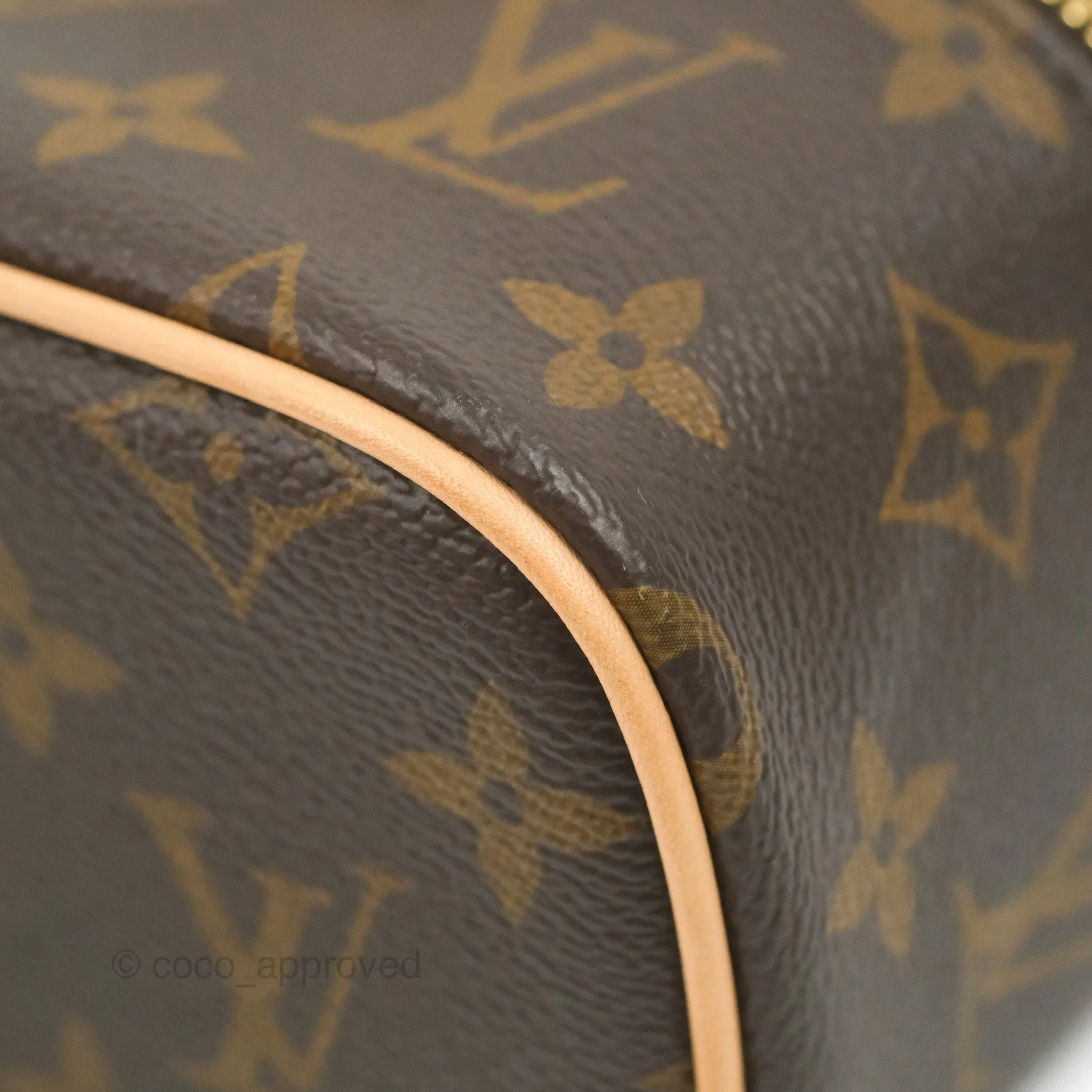 Louis Vuitton Monogram Nice Nano