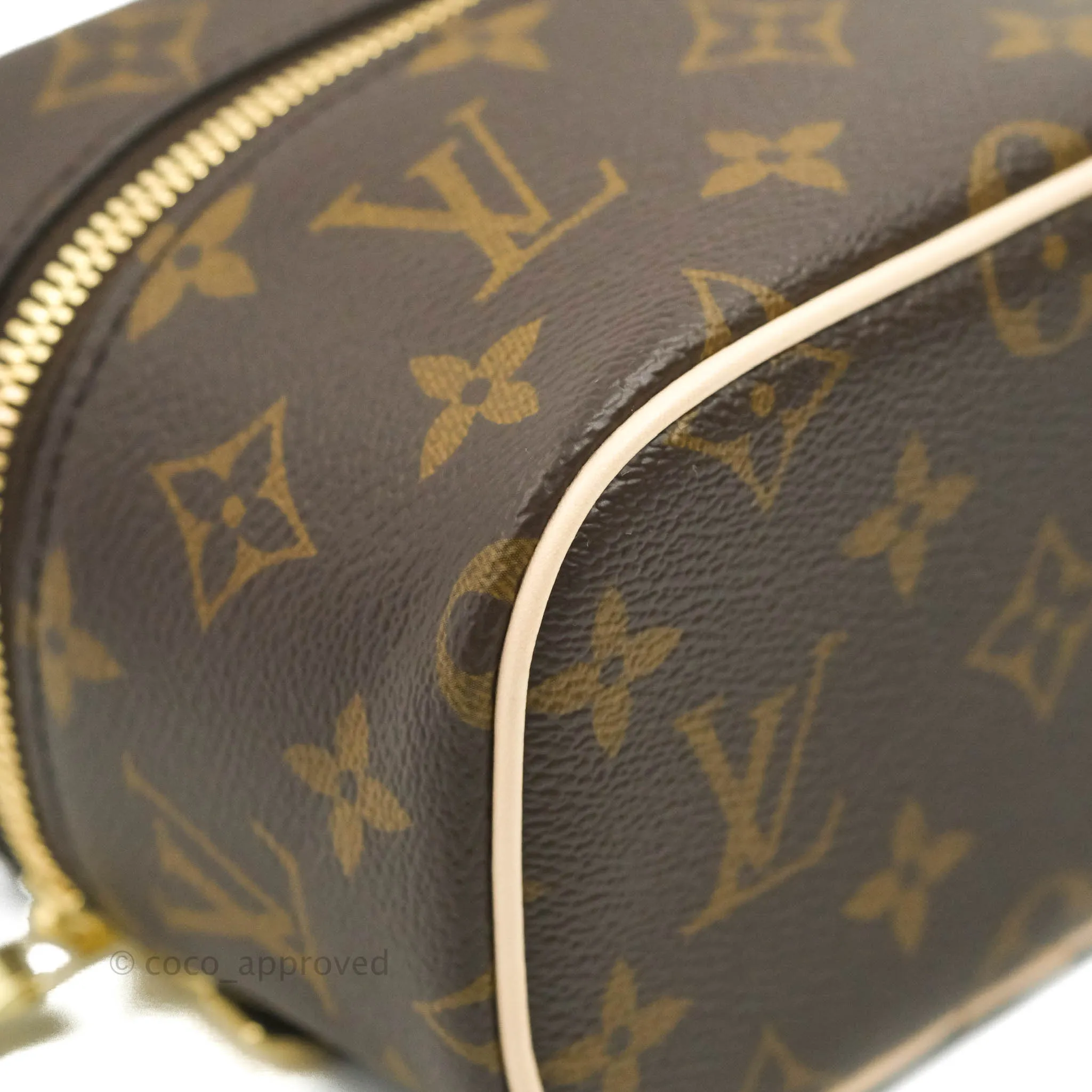 Louis Vuitton Monogram Nice Nano