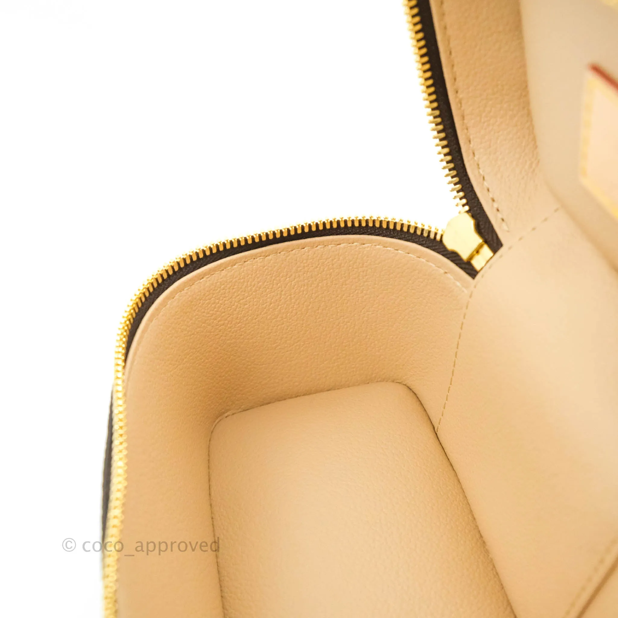 Louis Vuitton Monogram Nice Nano