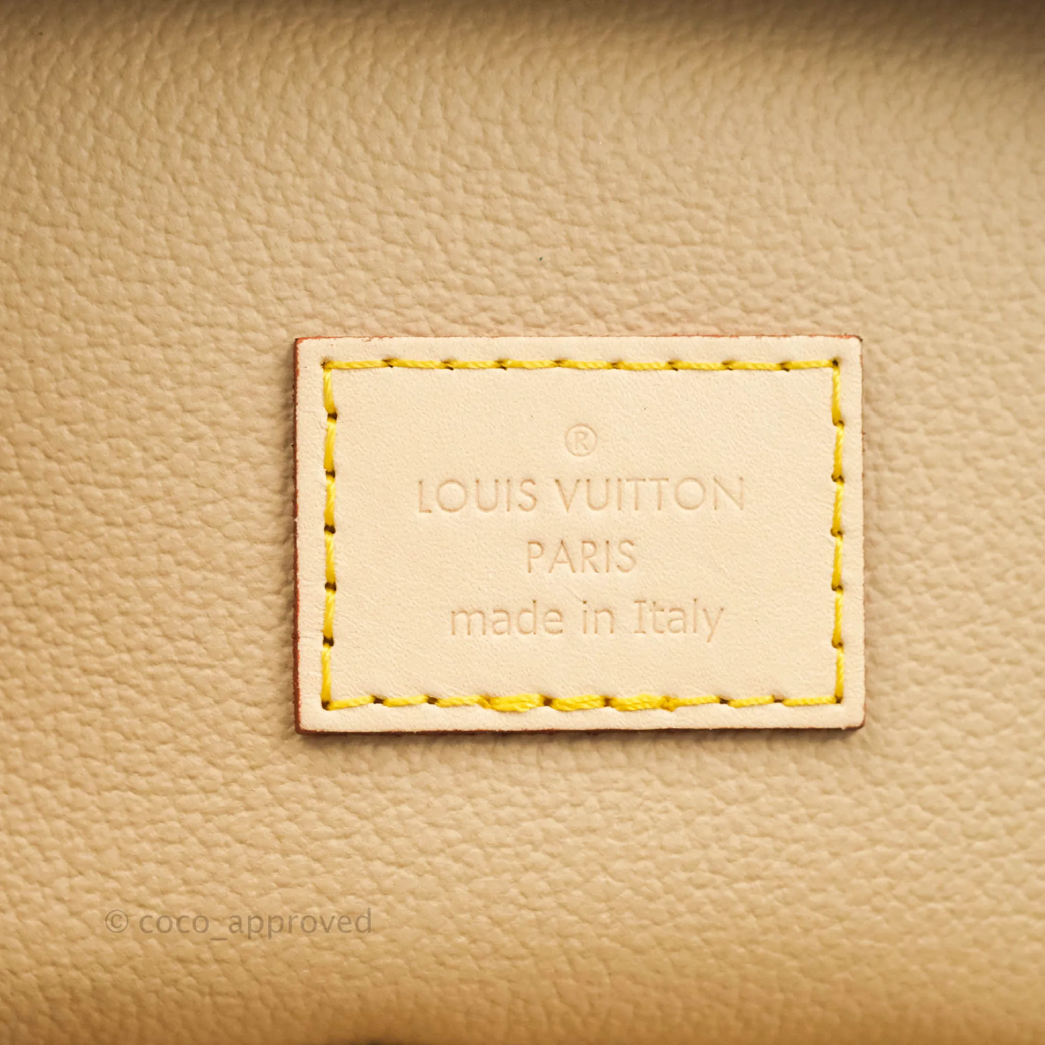 Louis Vuitton Monogram Nice Nano