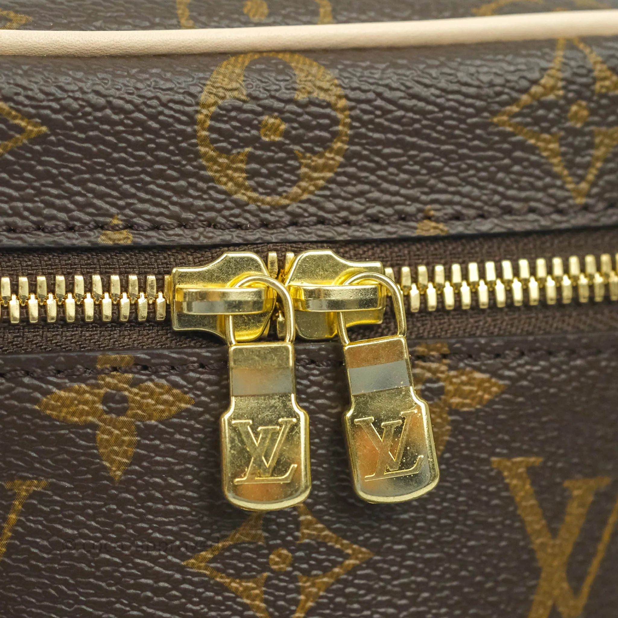 Louis Vuitton Monogram Nice Nano