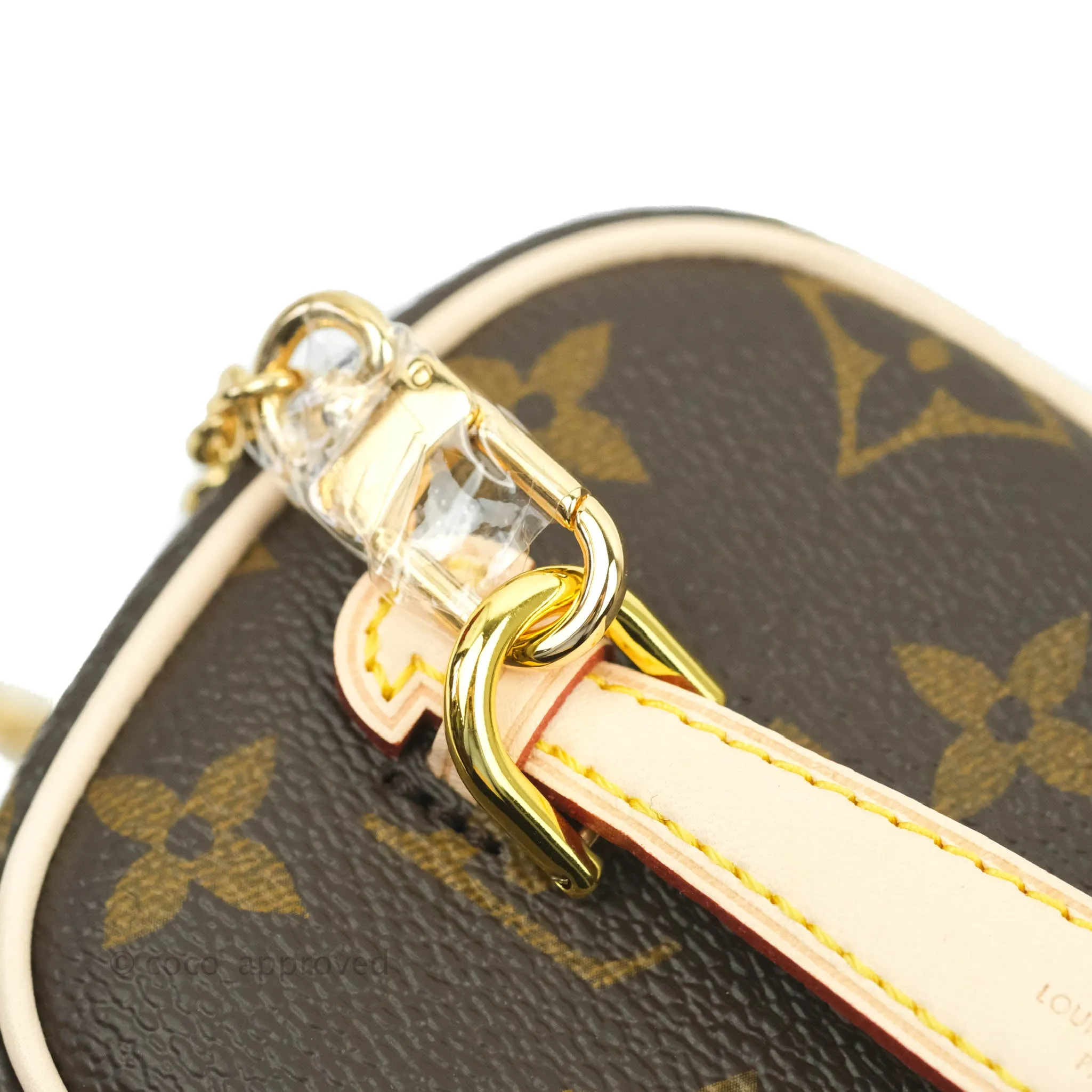 Louis Vuitton Monogram Nice Nano