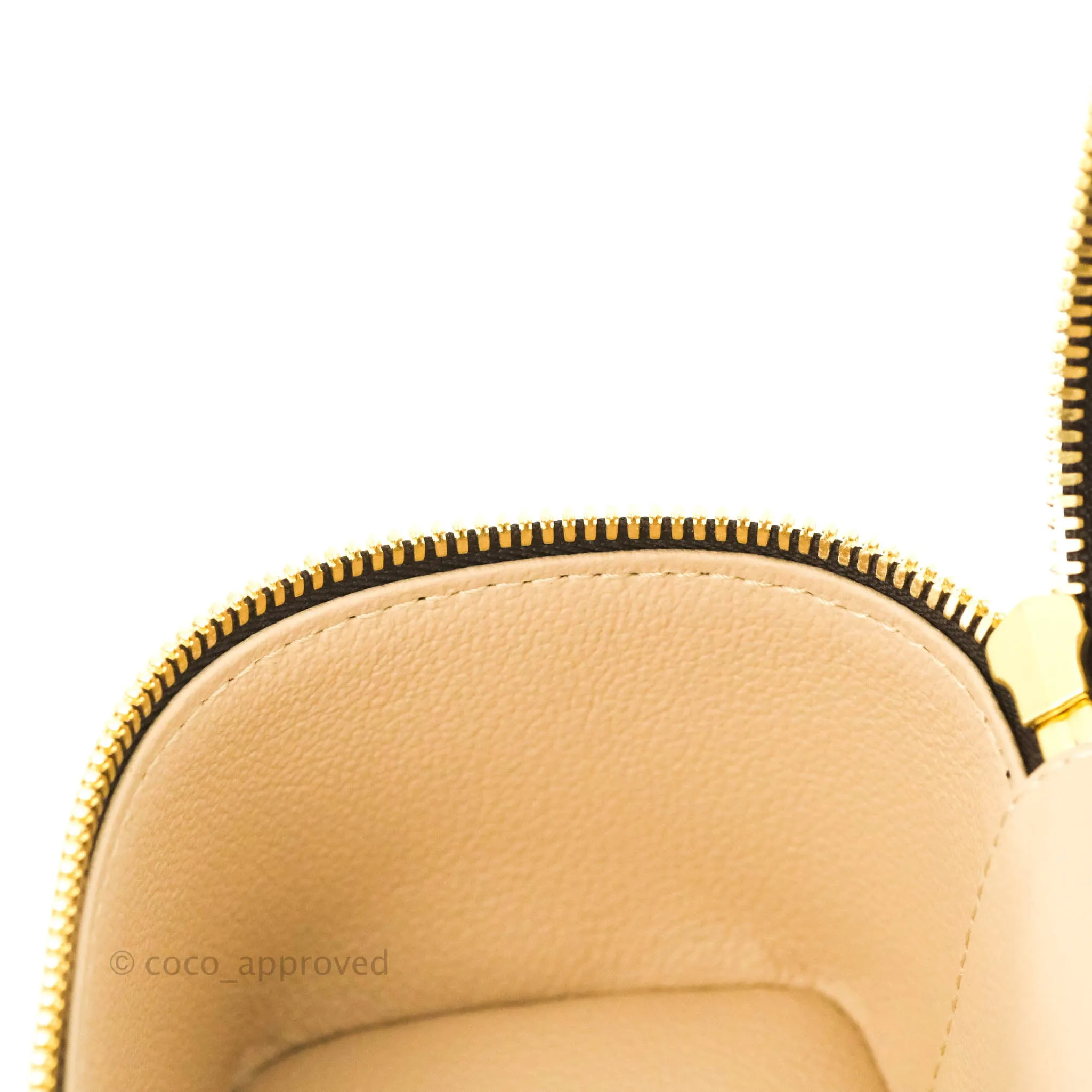 Louis Vuitton Monogram Nice Nano