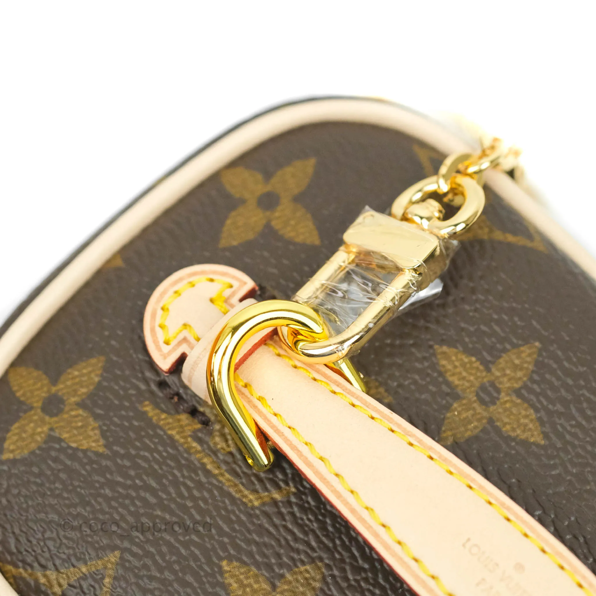 Louis Vuitton Monogram Nice Nano