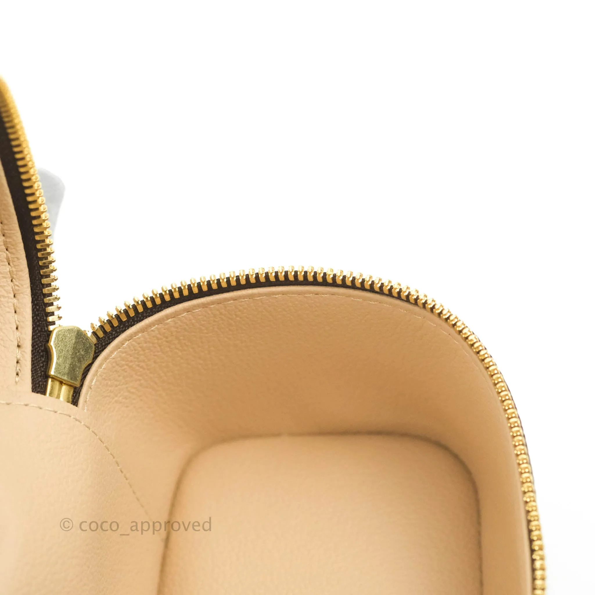 Louis Vuitton Monogram Nice Nano