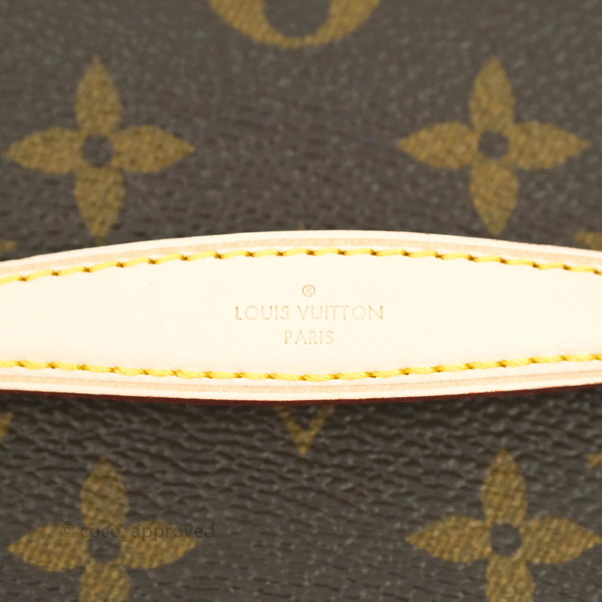 Louis Vuitton Monogram Nice Nano