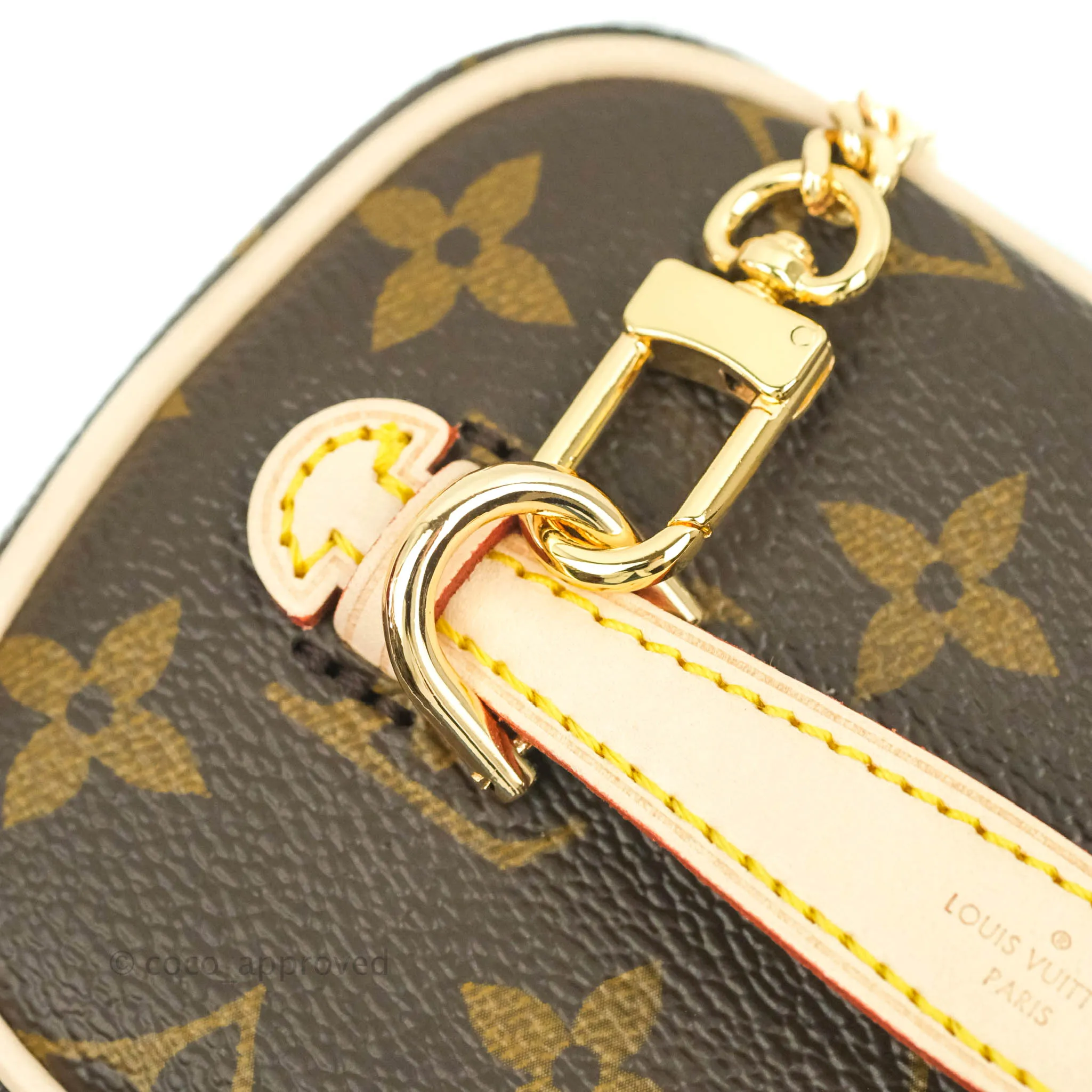 Louis Vuitton Monogram Nice Nano