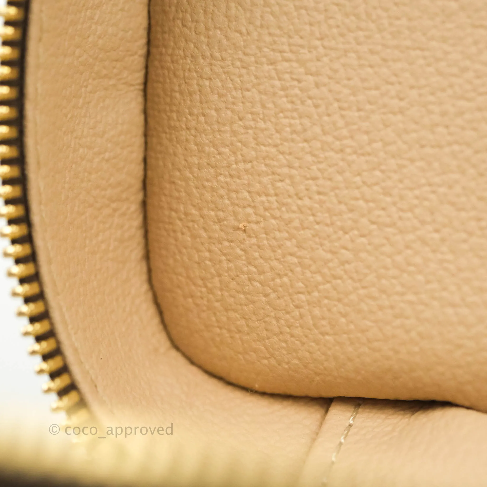 Louis Vuitton Monogram Nice Nano