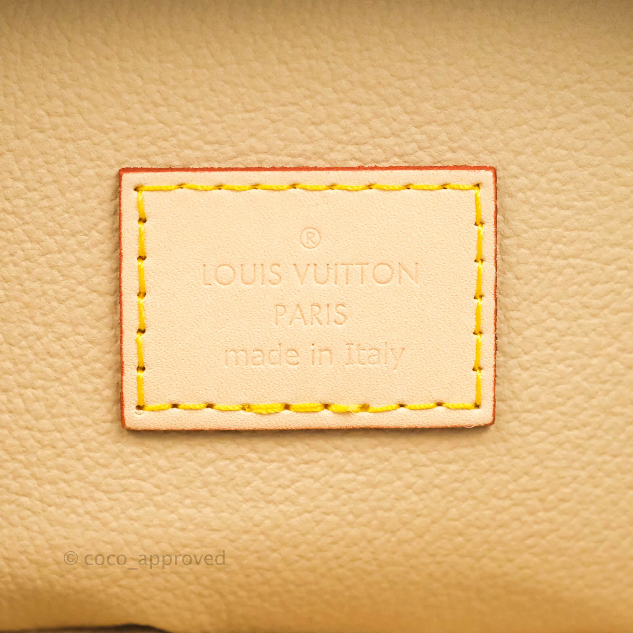Louis Vuitton Monogram Nice Nano