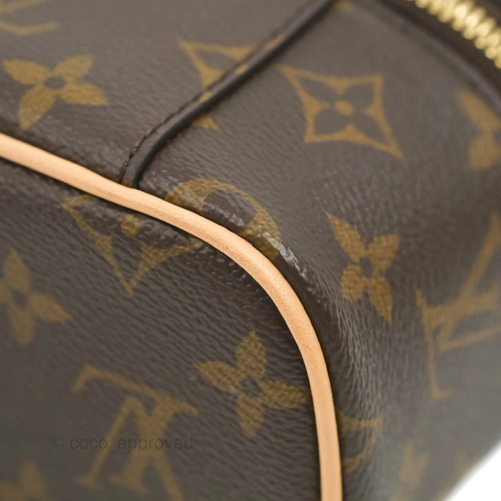 Louis Vuitton Monogram Nice Nano
