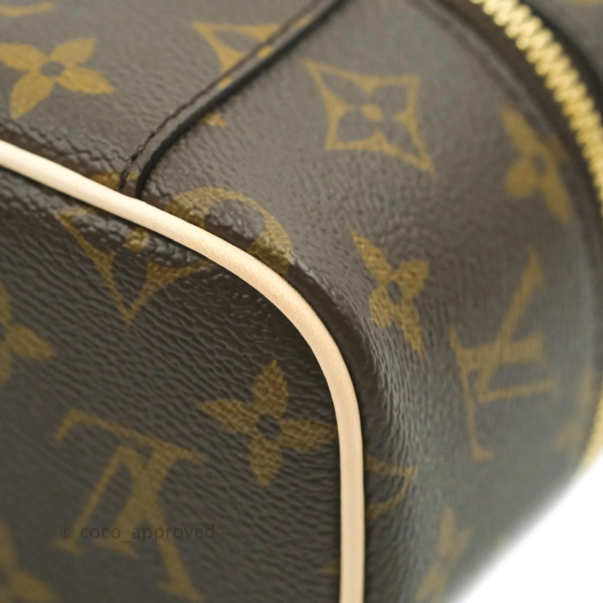 Louis Vuitton Monogram Nice Nano
