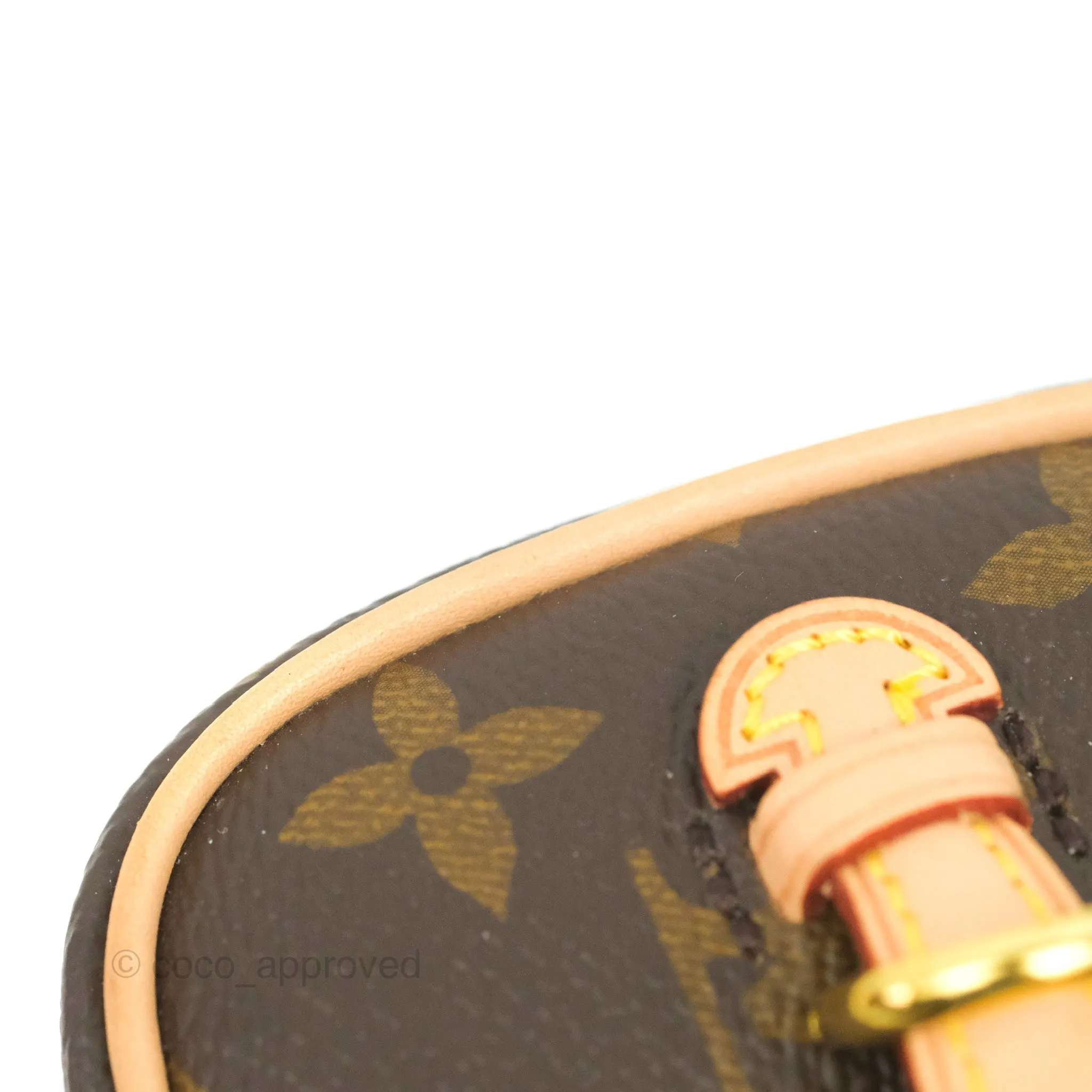 Louis Vuitton Monogram Nice Nano
