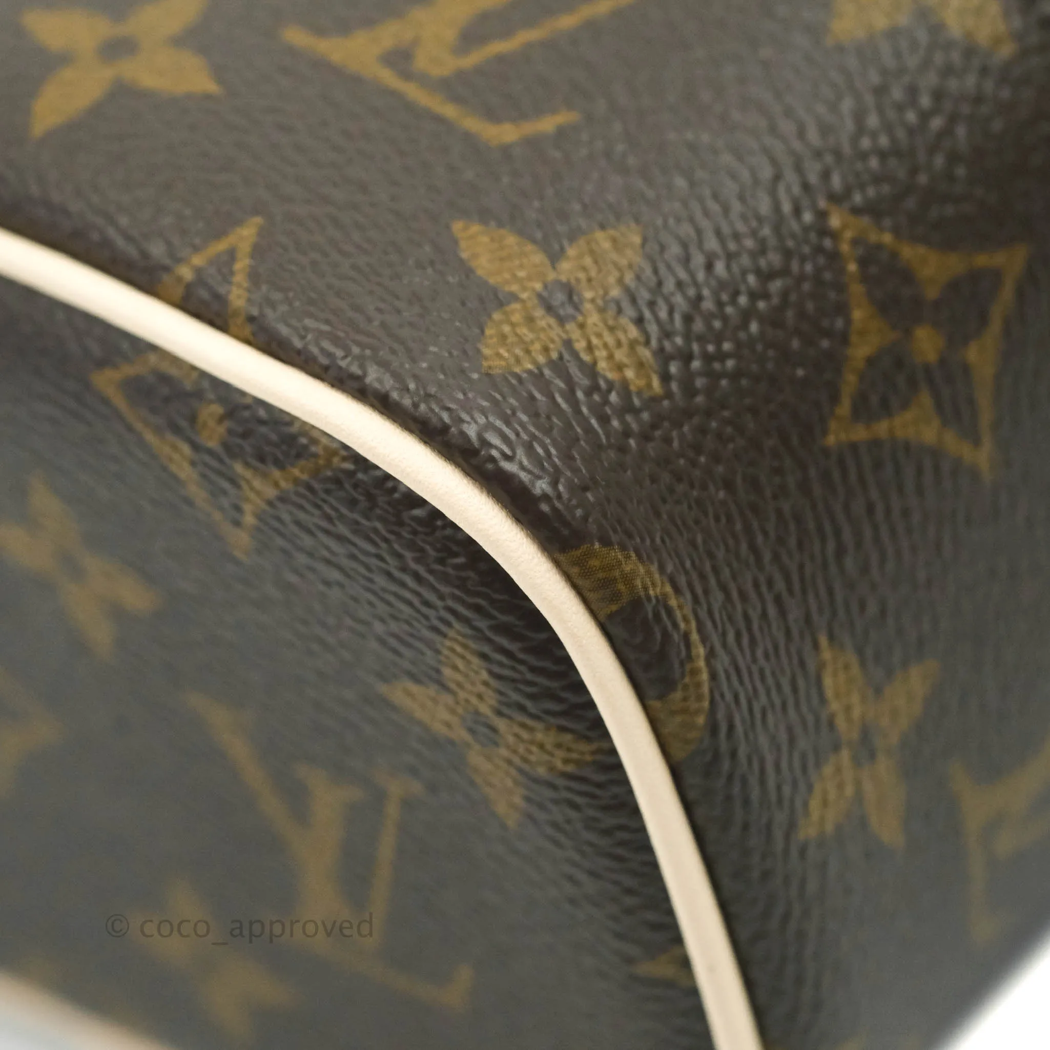 Louis Vuitton Monogram Nice Nano