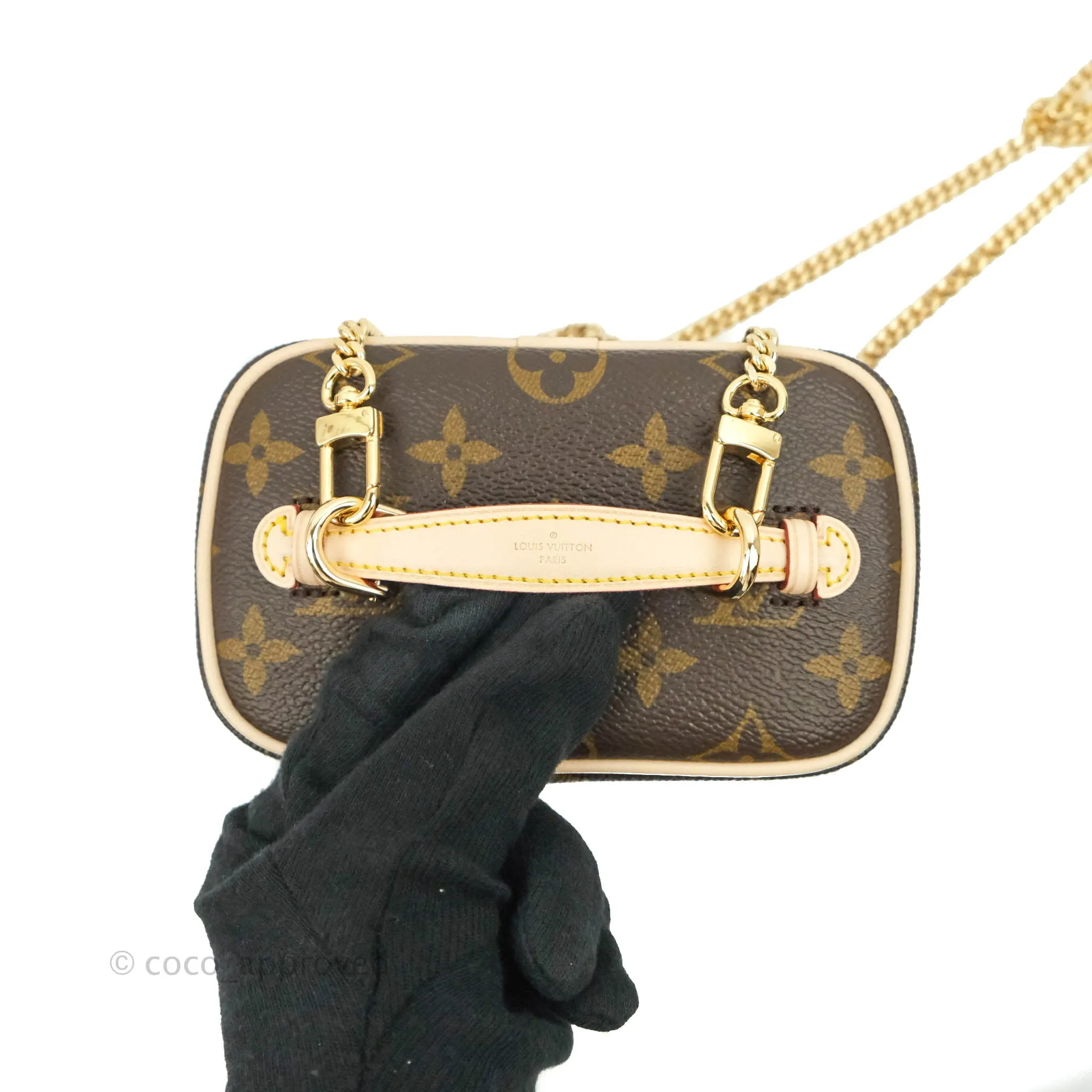 Louis Vuitton Monogram Nice Nano
