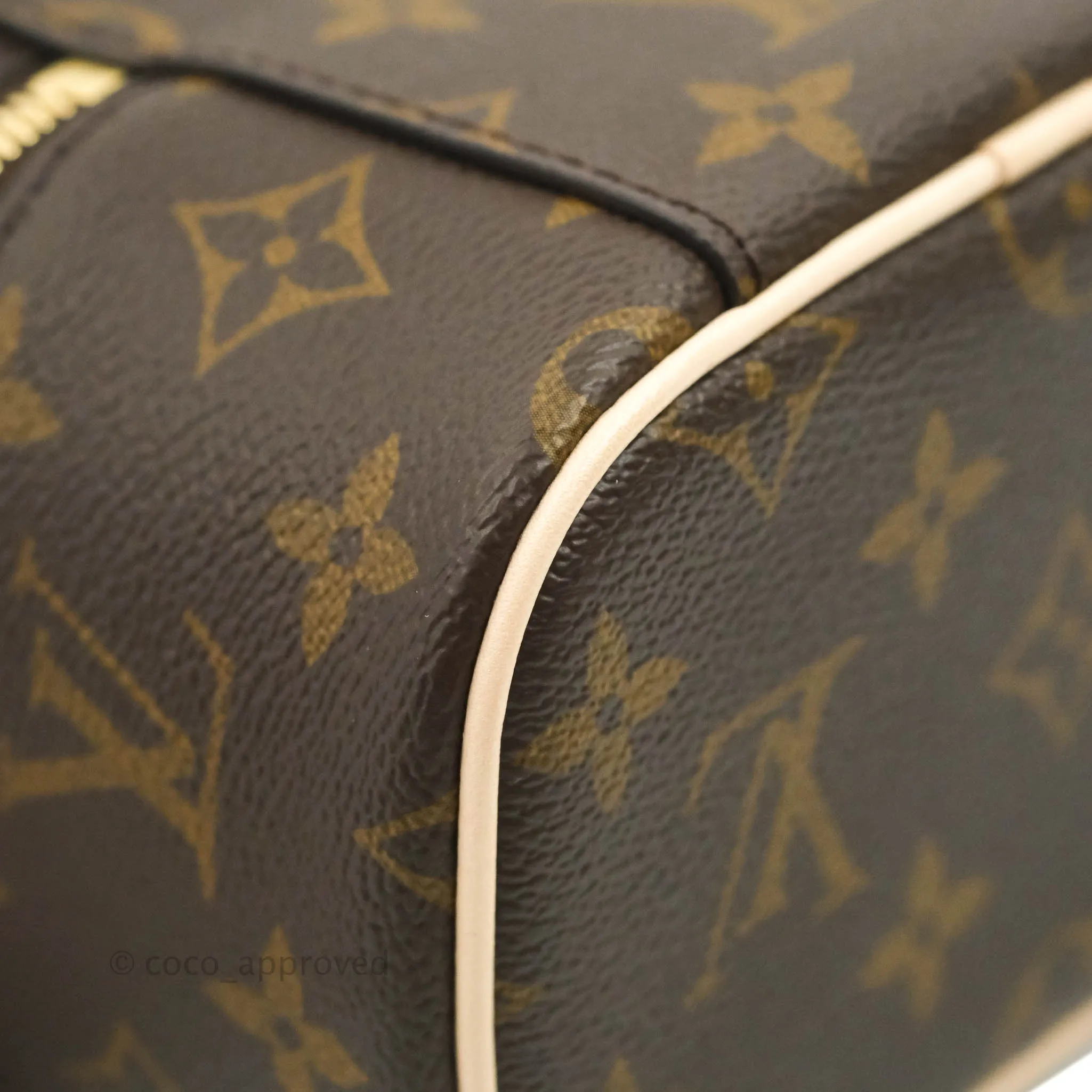 Louis Vuitton Monogram Nice Nano