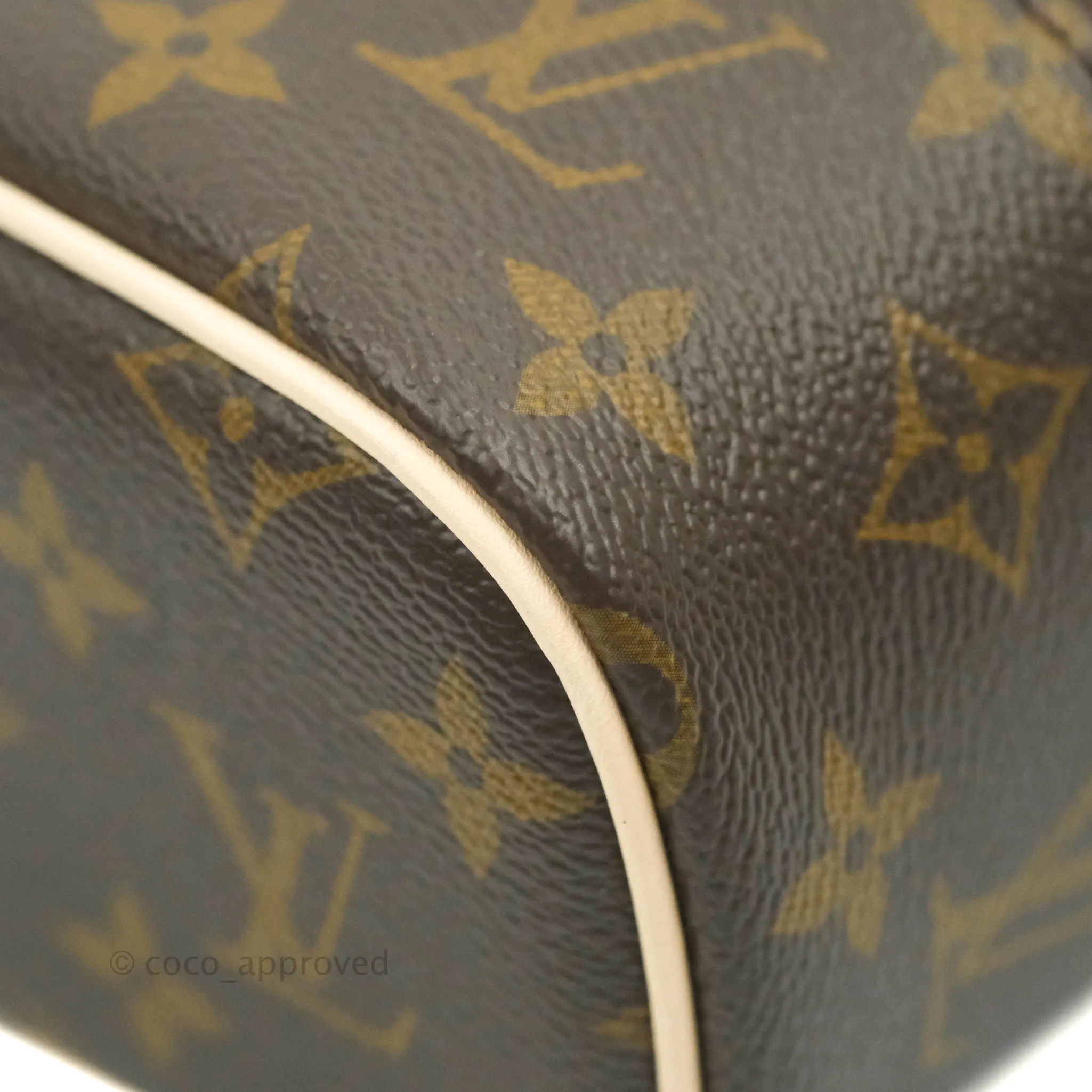 Louis Vuitton Monogram Nice Nano