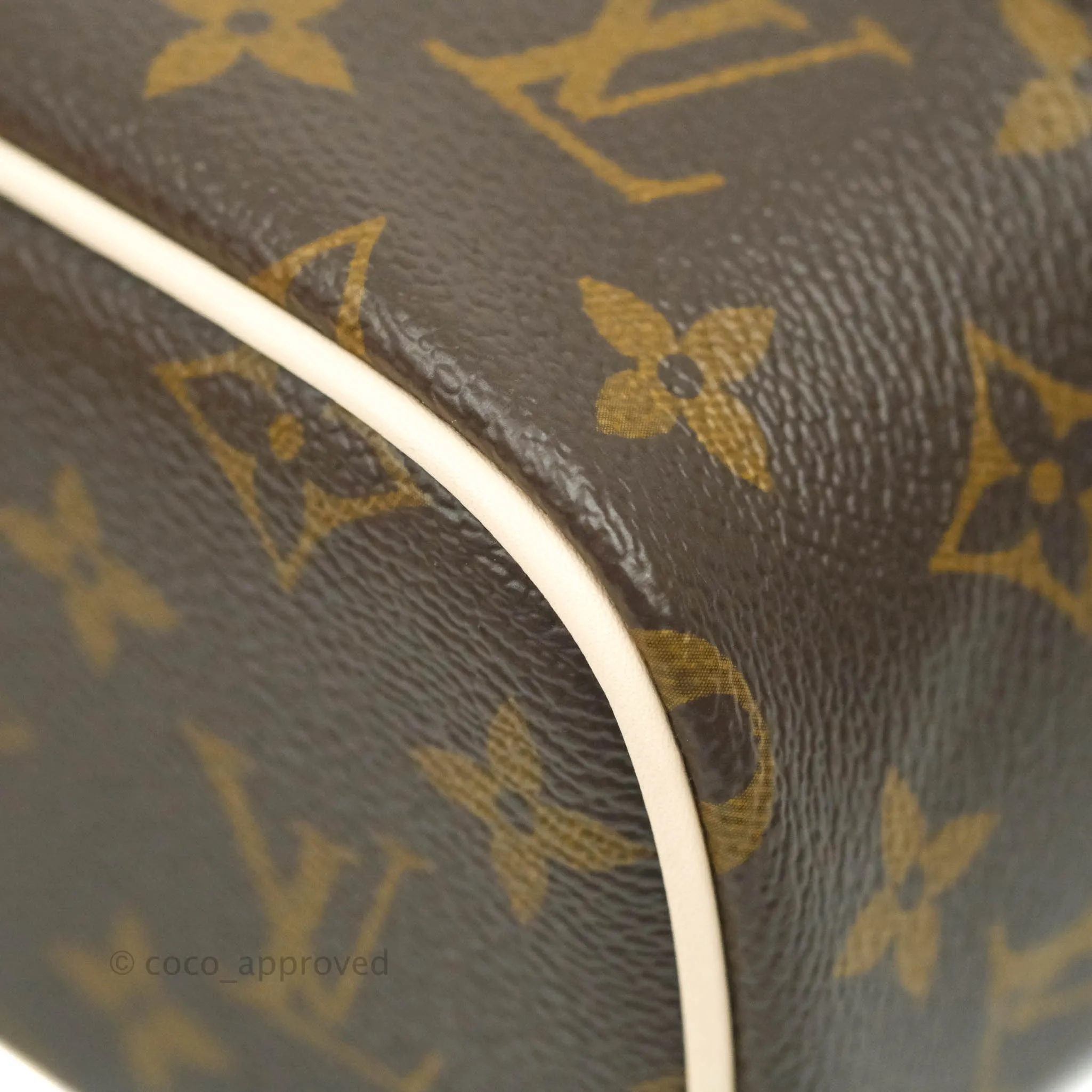 Louis Vuitton Monogram Nice Nano