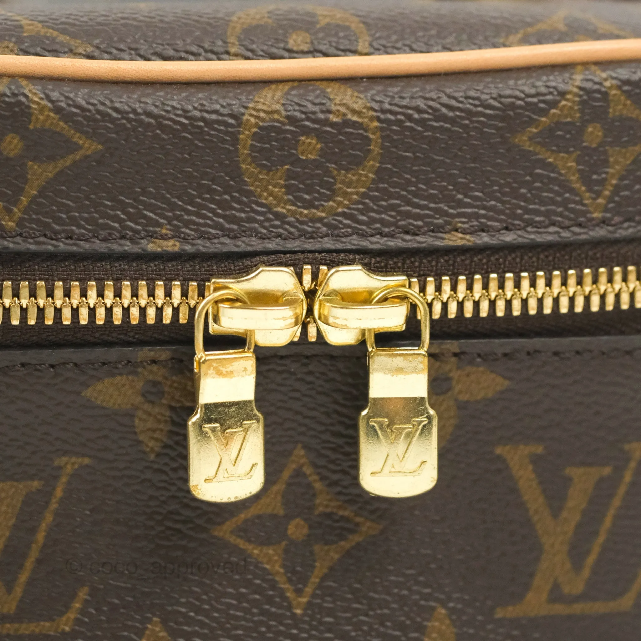 Louis Vuitton Monogram Nice Nano