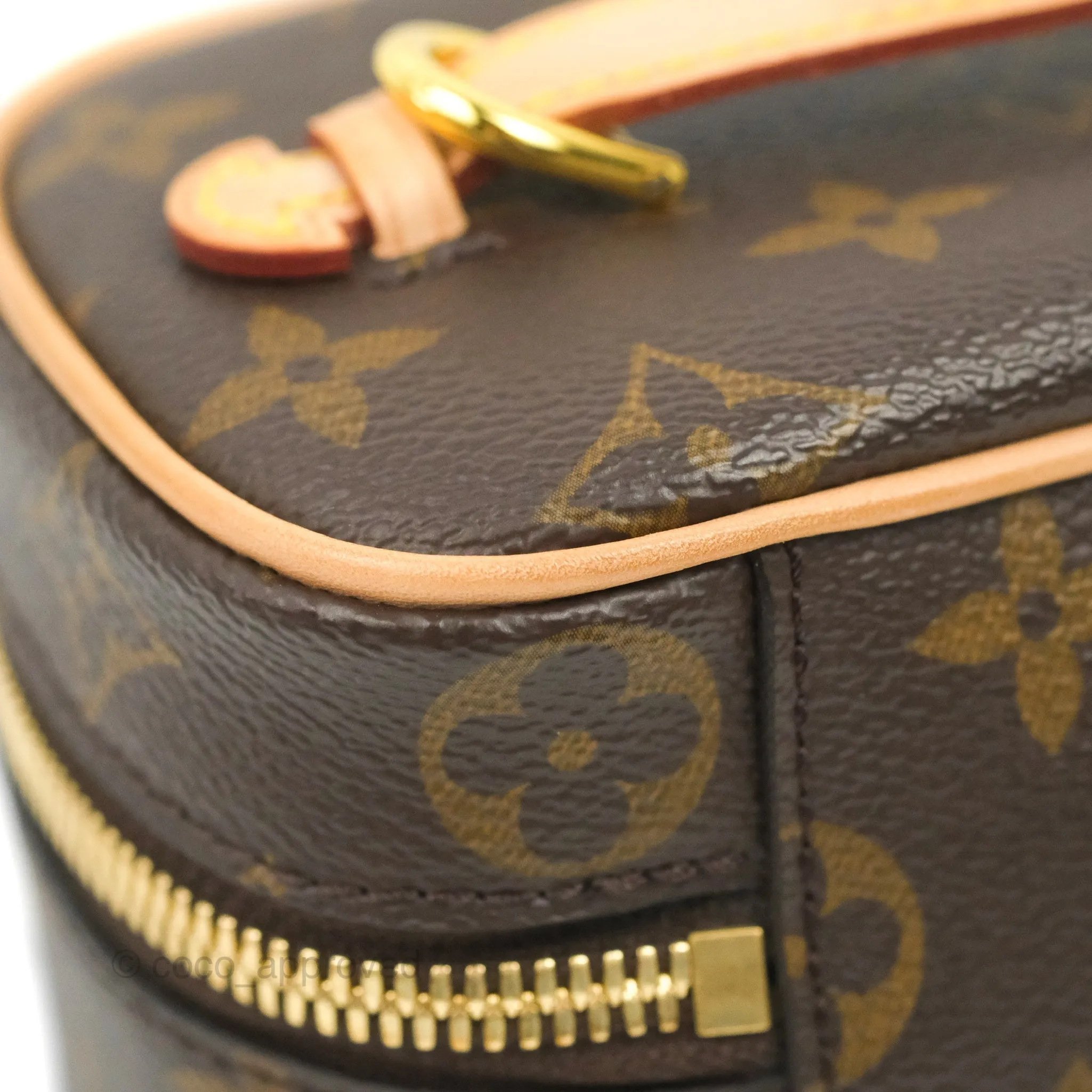 Louis Vuitton Monogram Nice Nano
