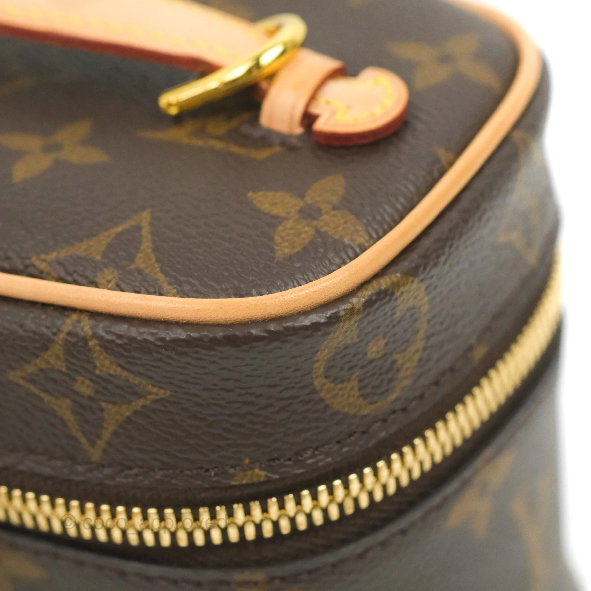 Louis Vuitton Monogram Nice Nano