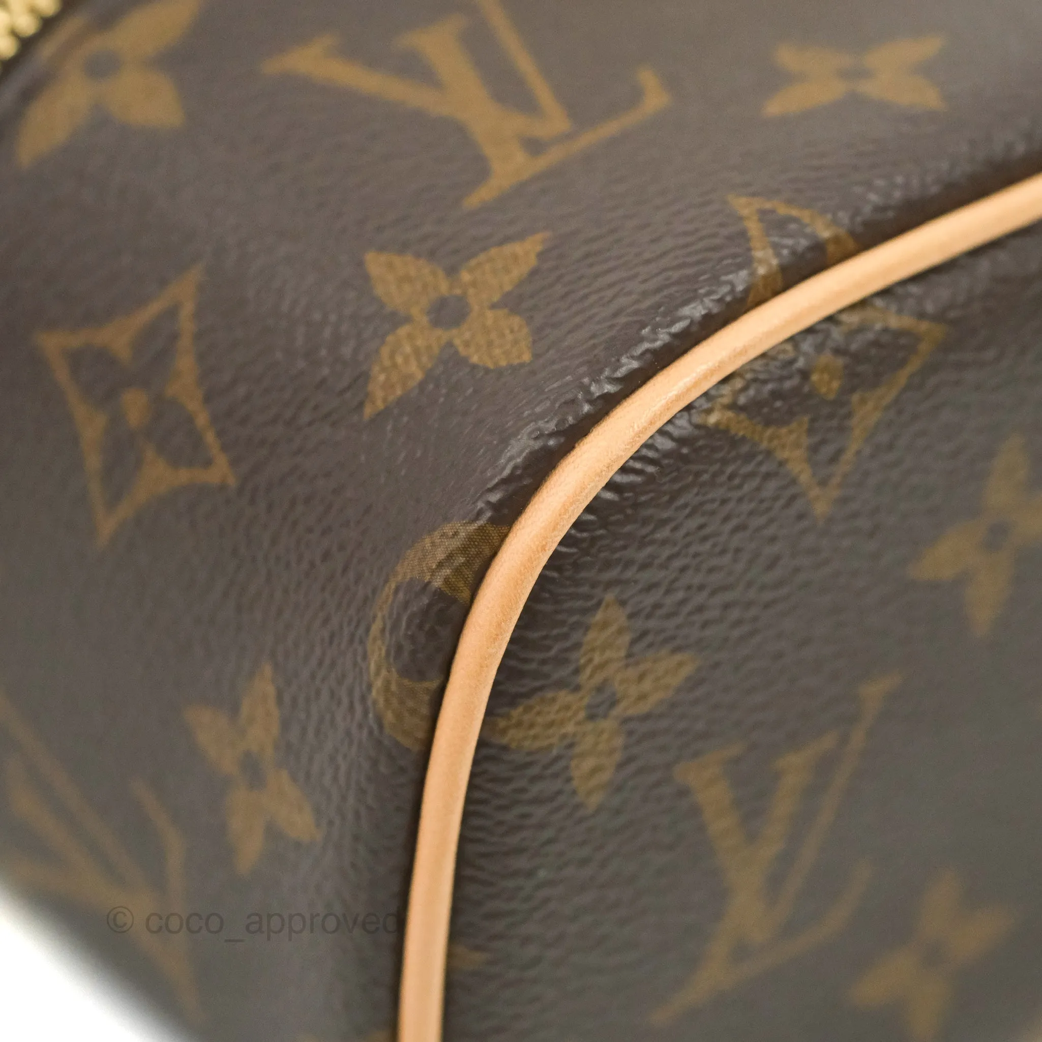 Louis Vuitton Monogram Nice Nano