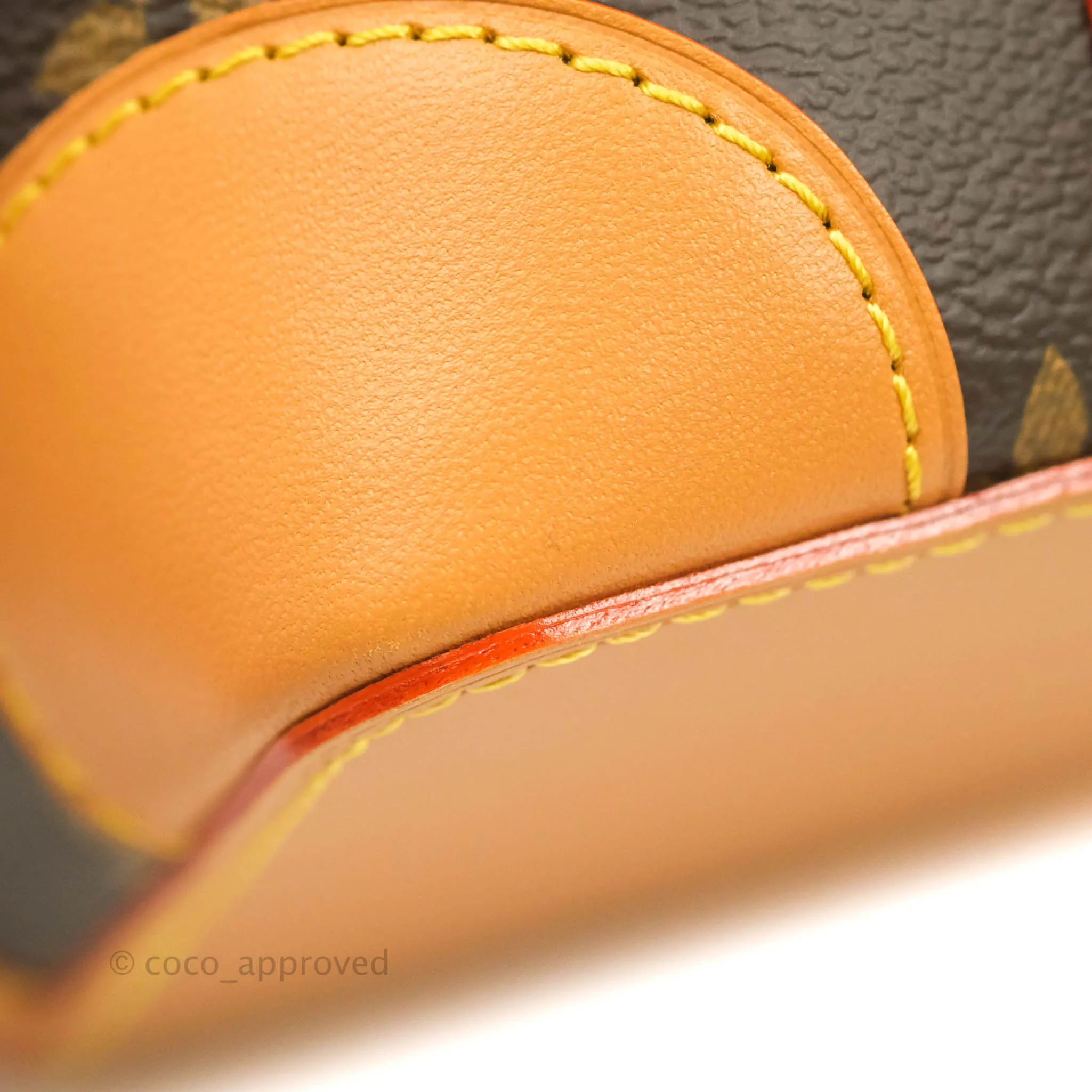 Louis Vuitton Monogram No Purse