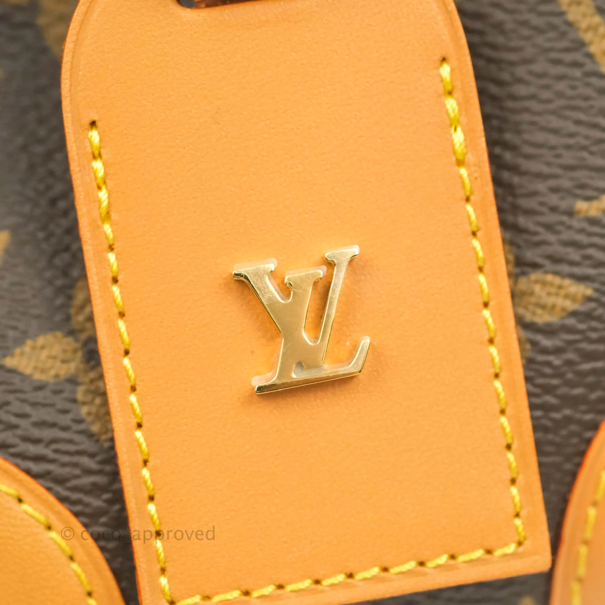 Louis Vuitton Monogram No Purse