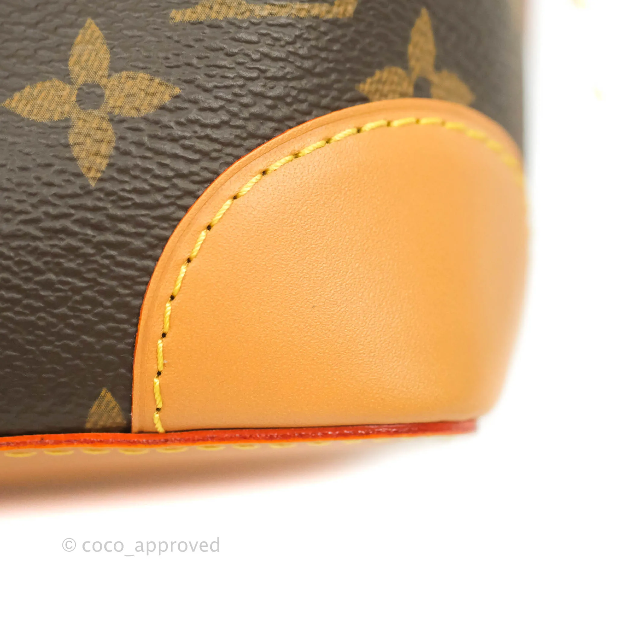 Louis Vuitton Monogram No Purse