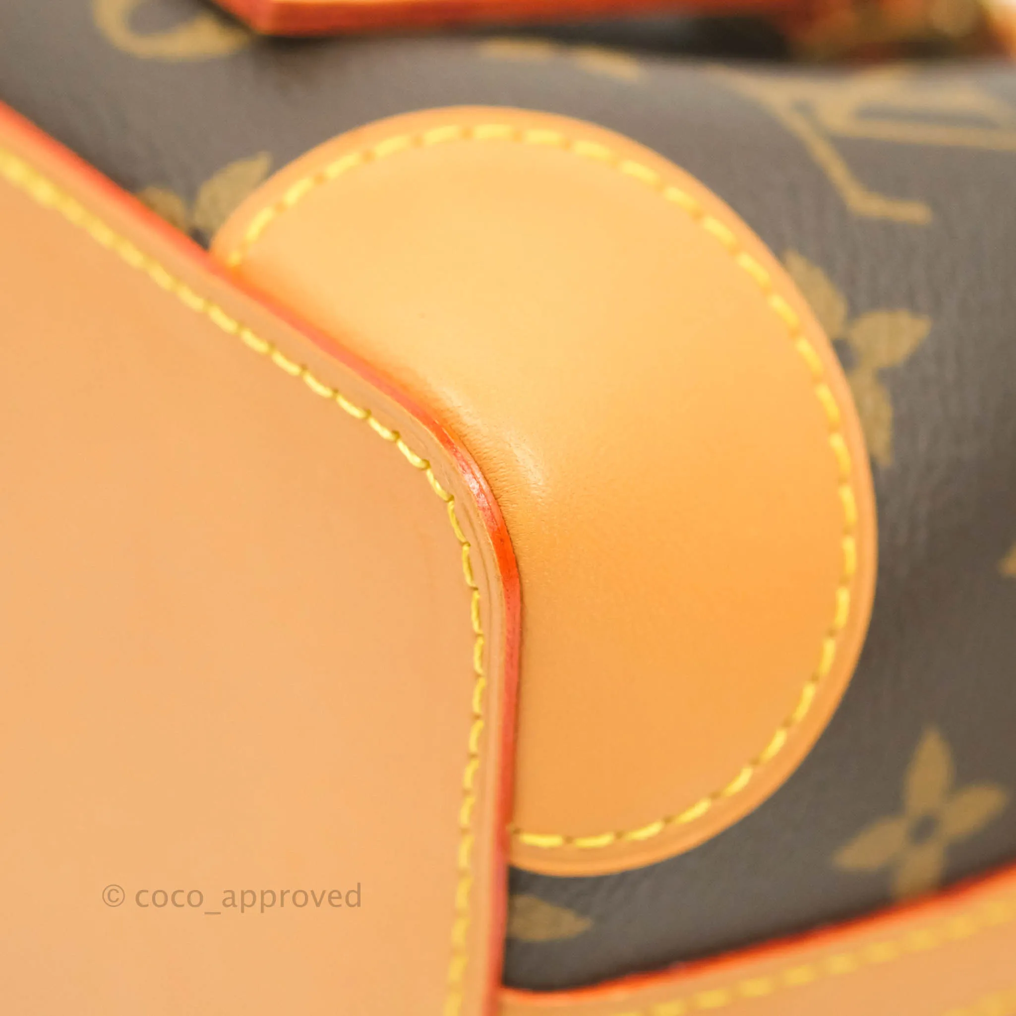 Louis Vuitton Monogram No Purse
