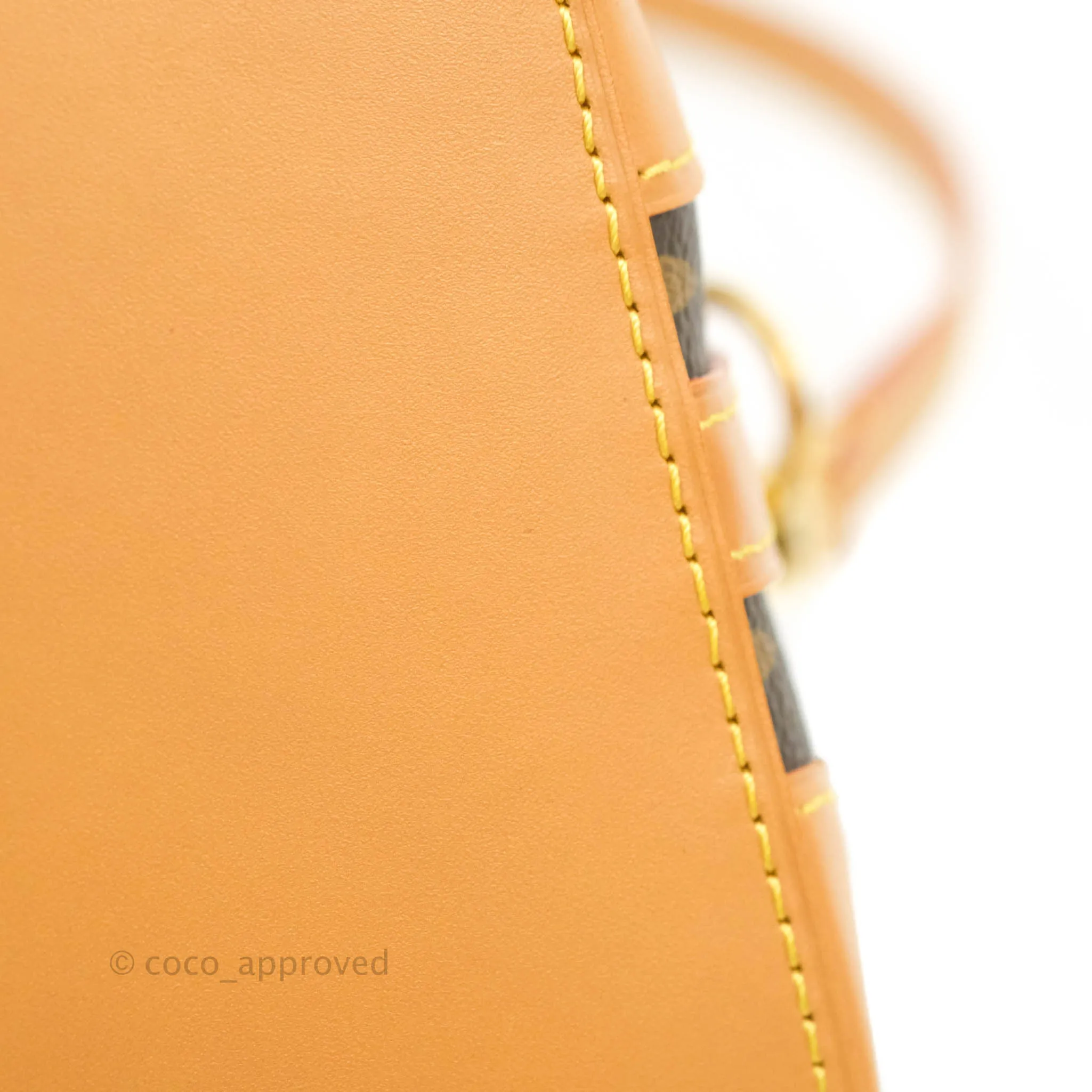 Louis Vuitton Monogram No Purse