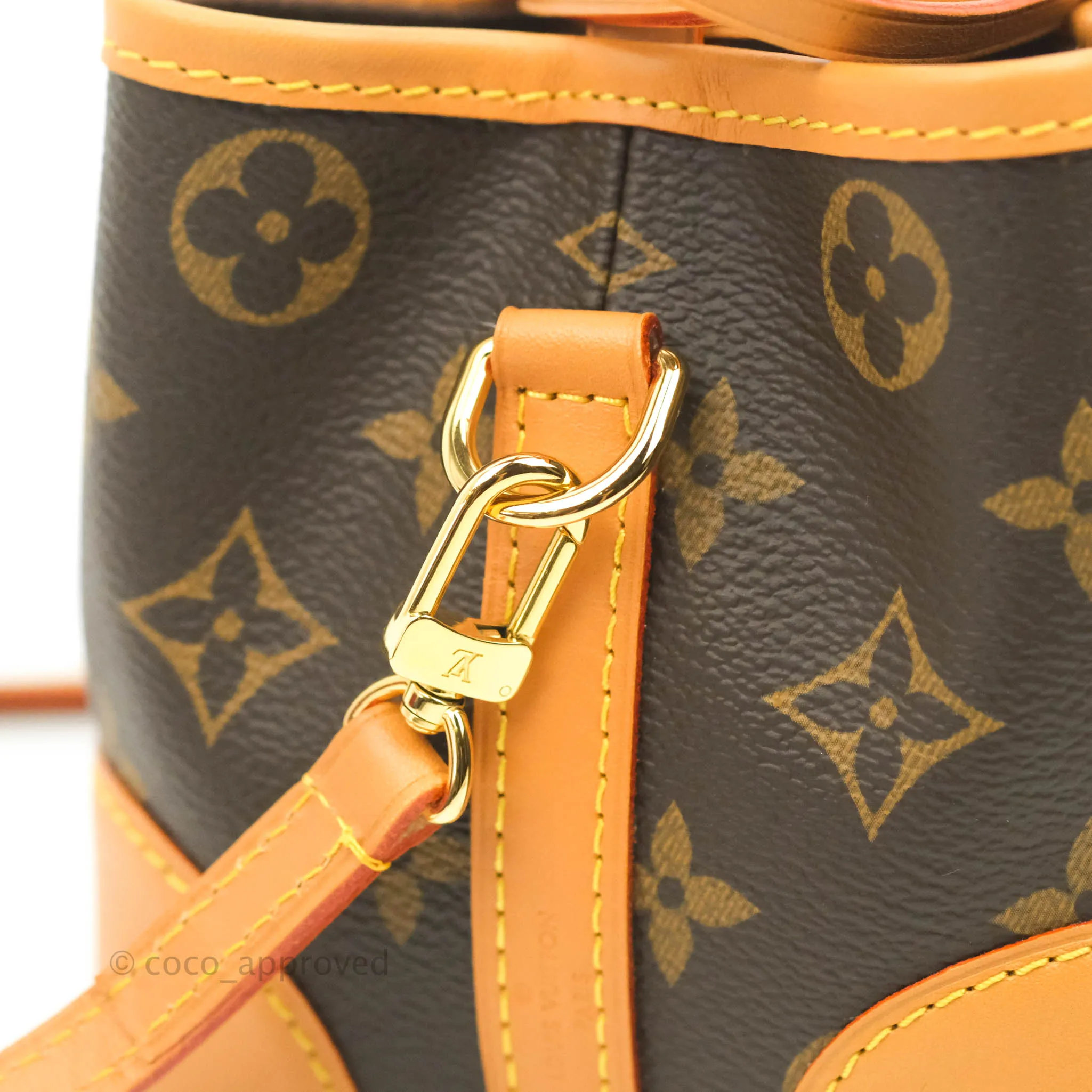 Louis Vuitton Monogram No Purse