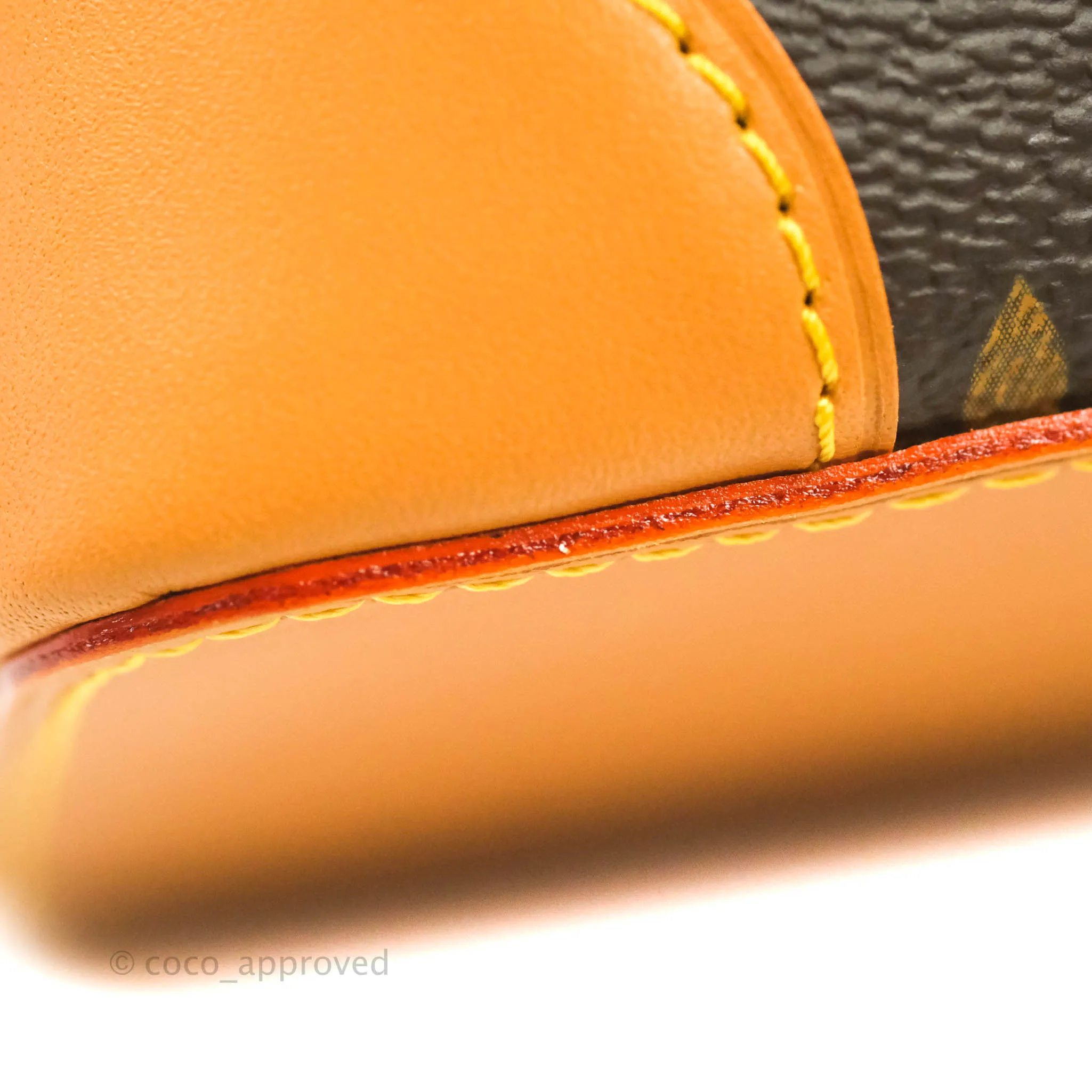 Louis Vuitton Monogram No Purse