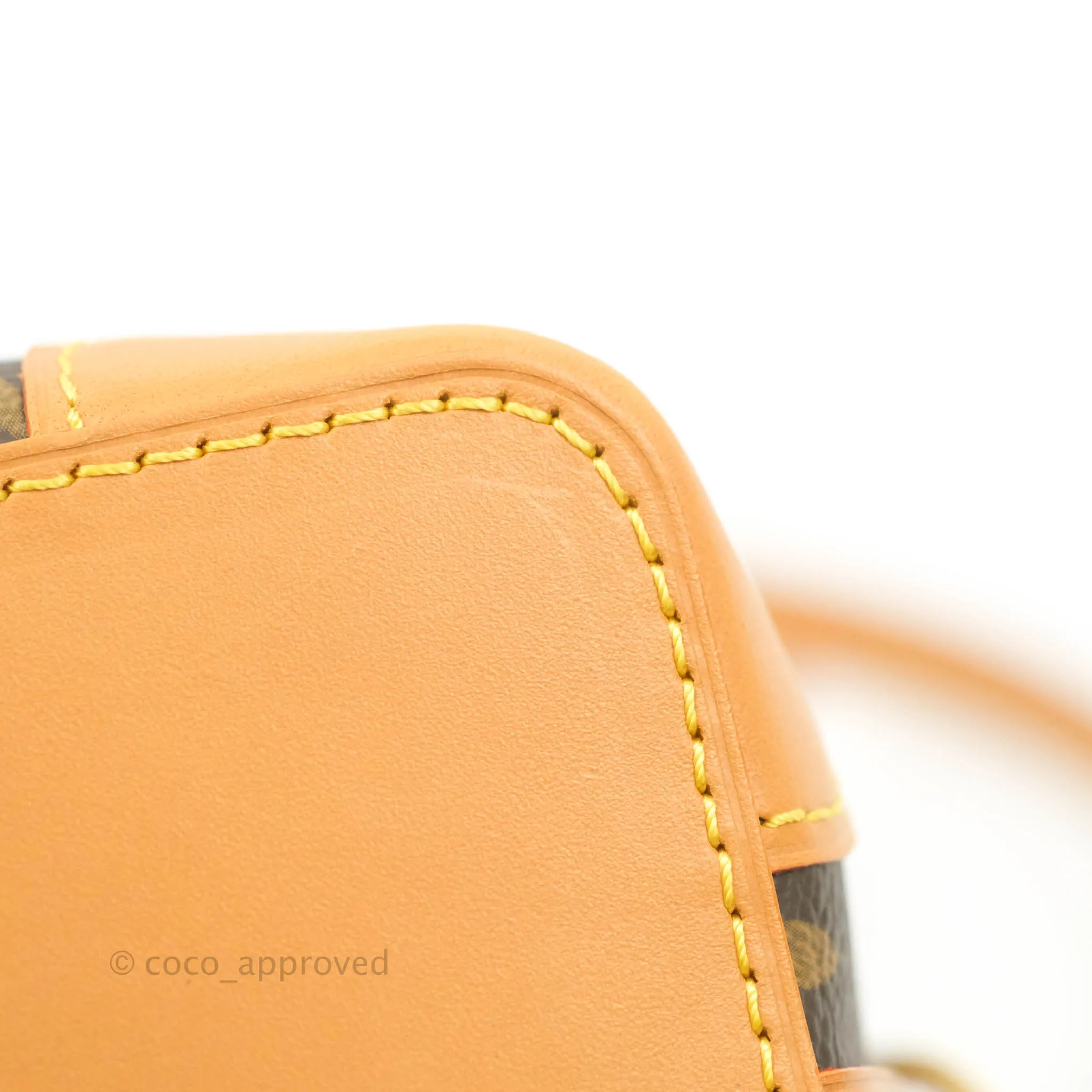 Louis Vuitton Monogram No Purse