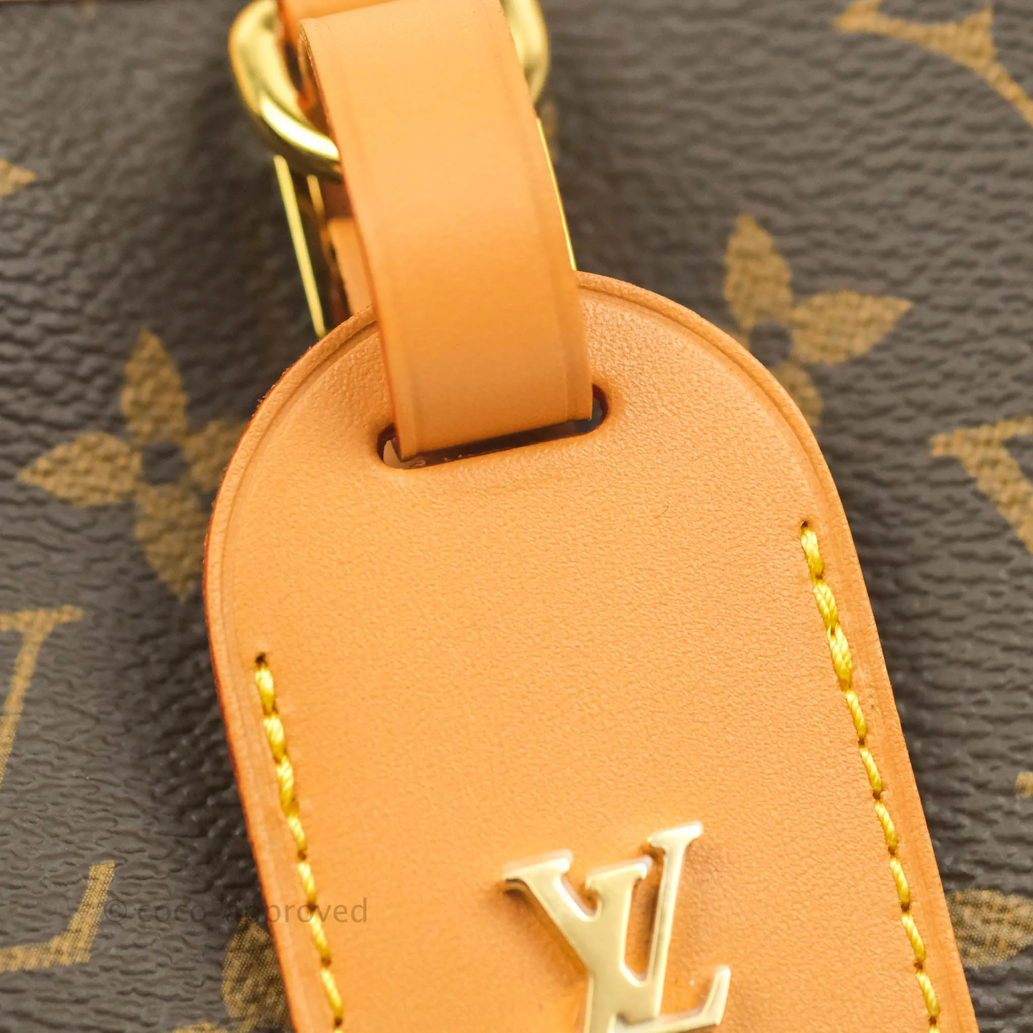 Louis Vuitton Monogram No Purse