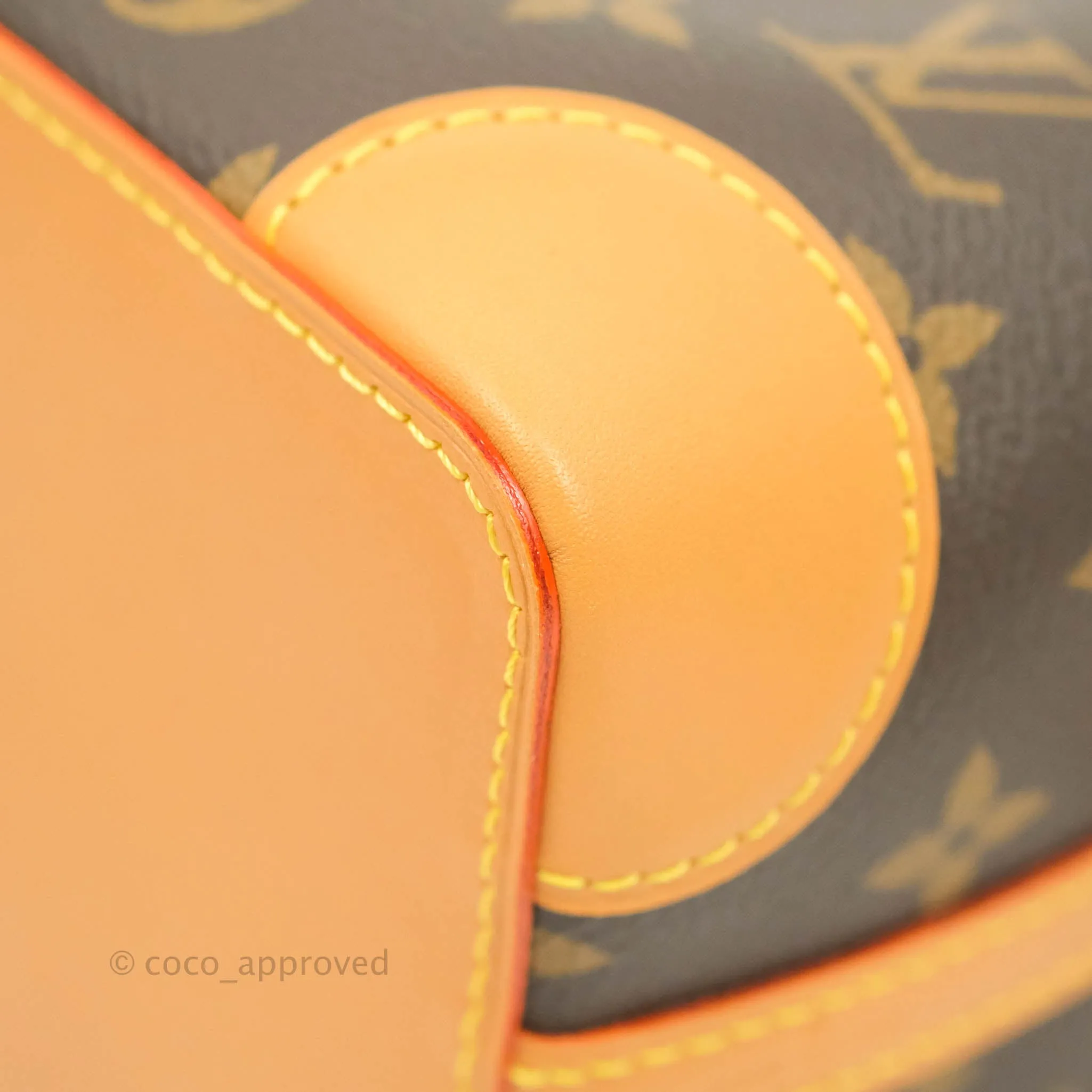 Louis Vuitton Monogram No Purse