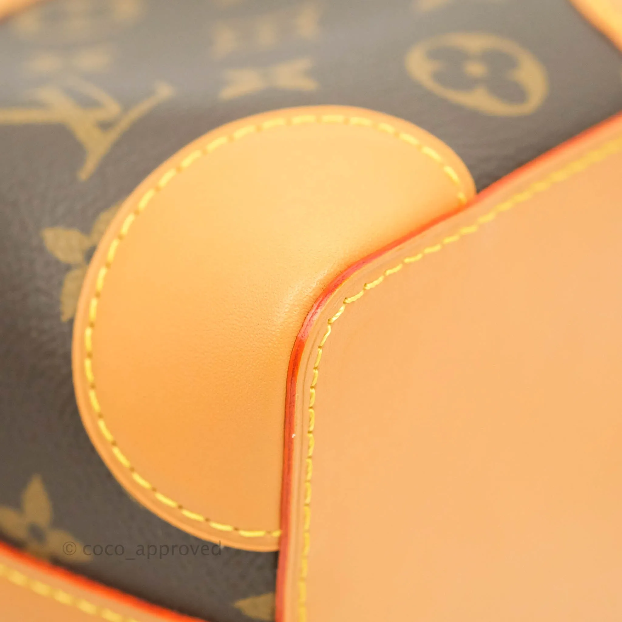 Louis Vuitton Monogram No Purse