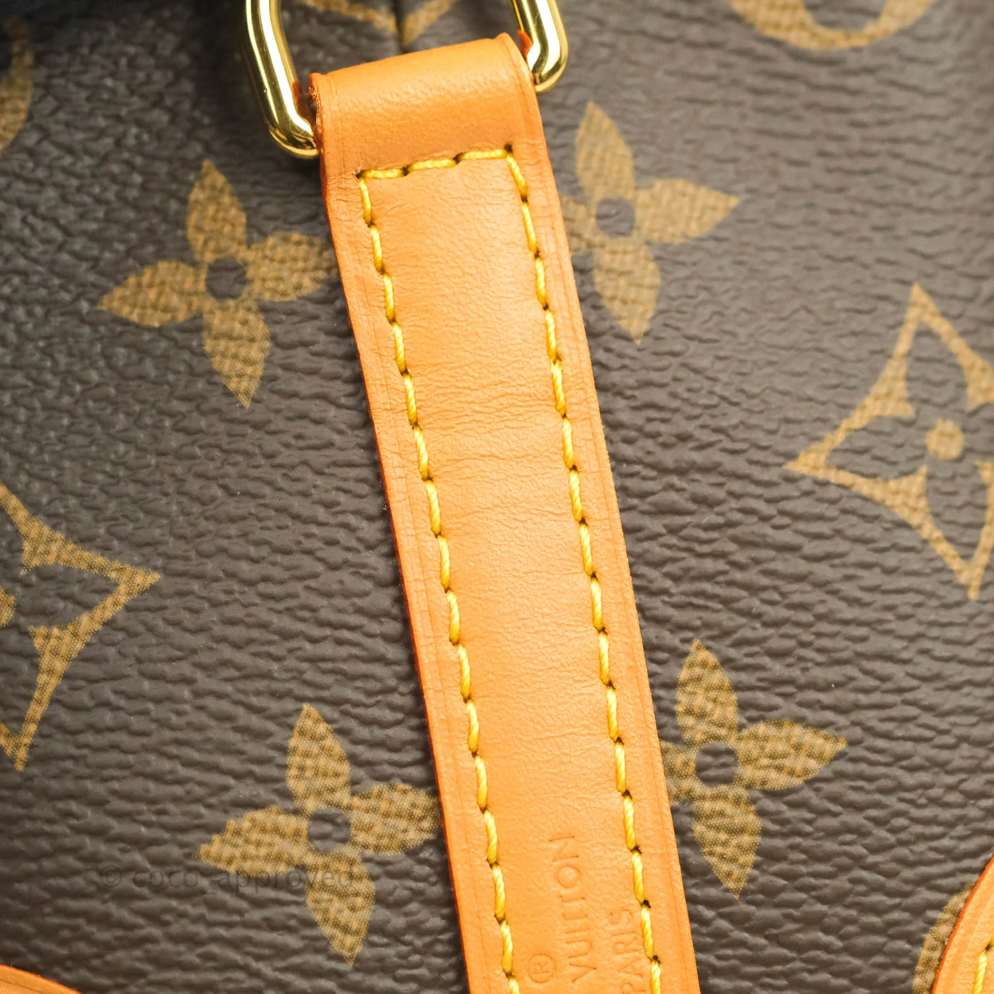 Louis Vuitton Monogram No Purse