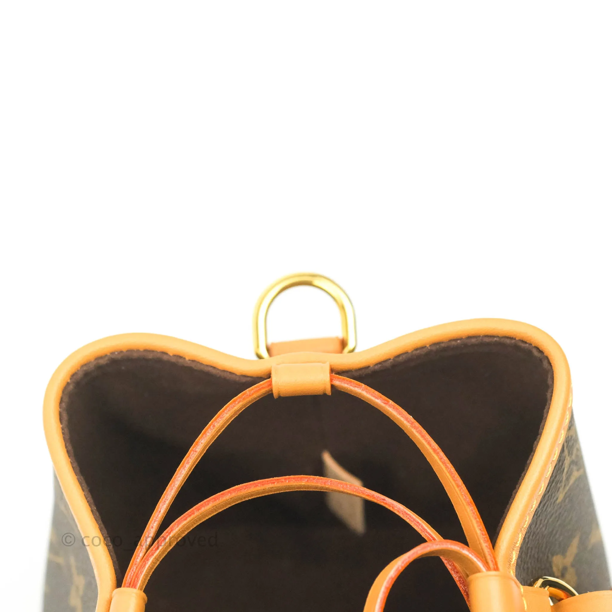 Louis Vuitton Monogram No Purse