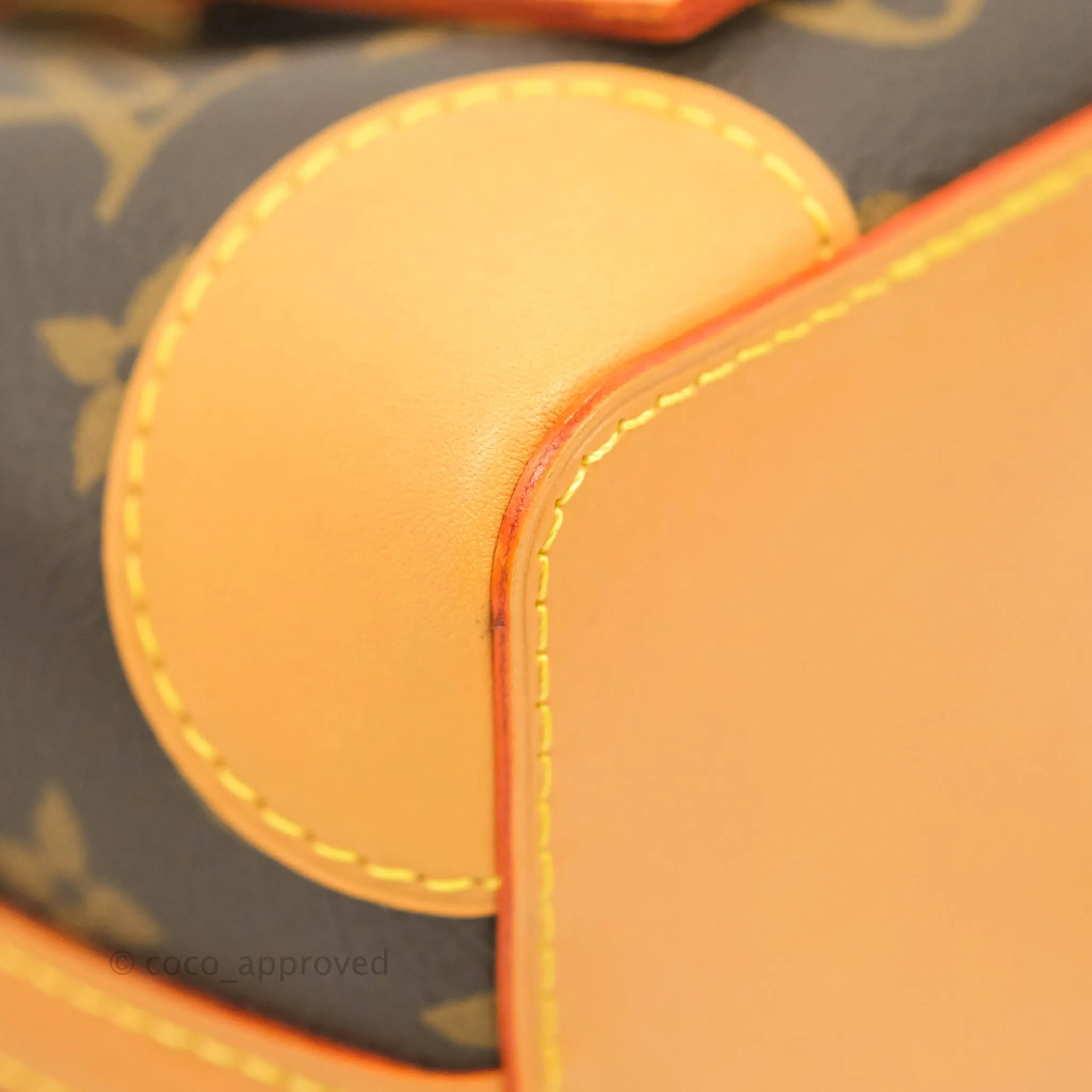 Louis Vuitton Monogram No Purse